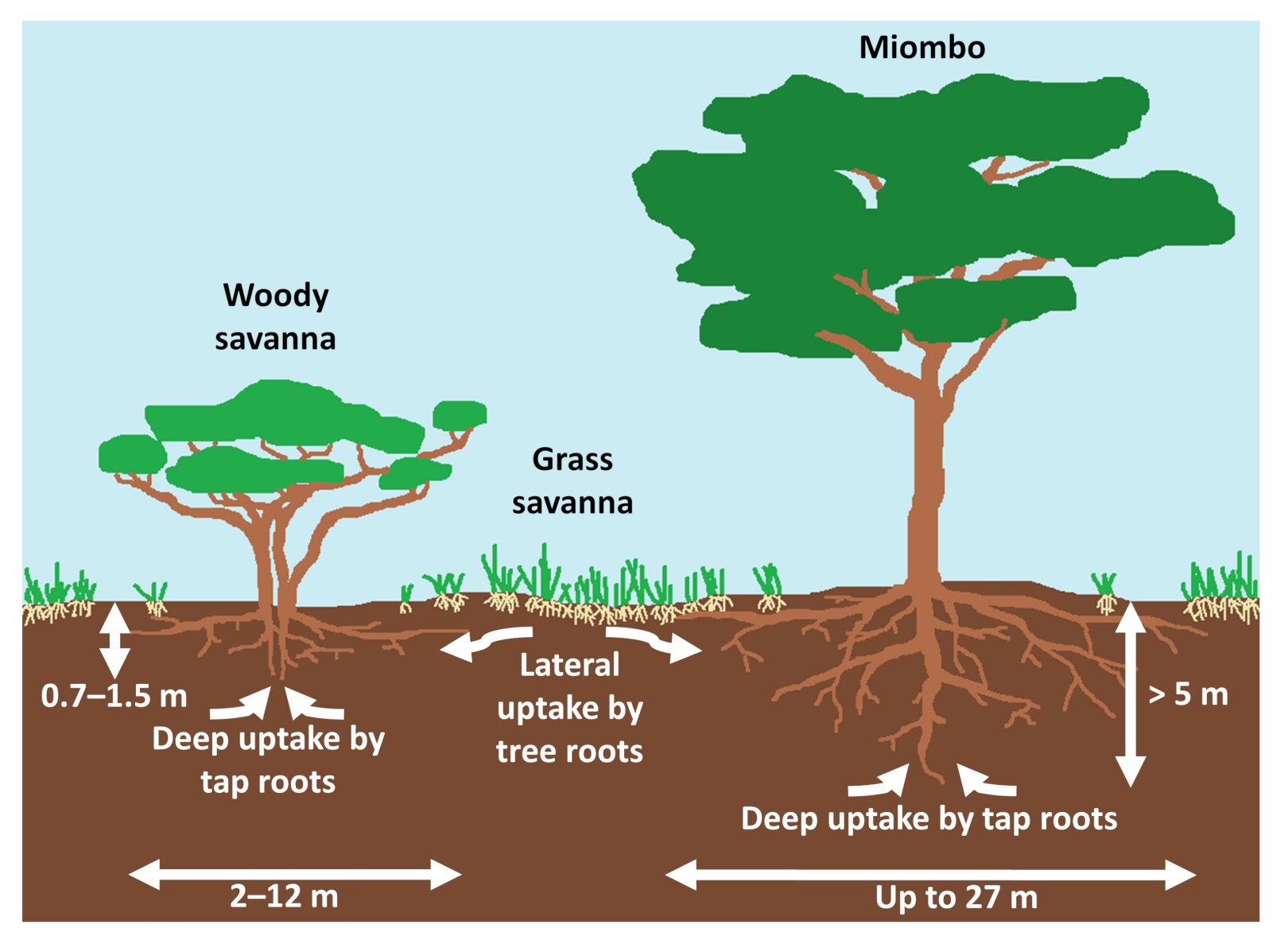 Remotesensing 13 02954 g006 550