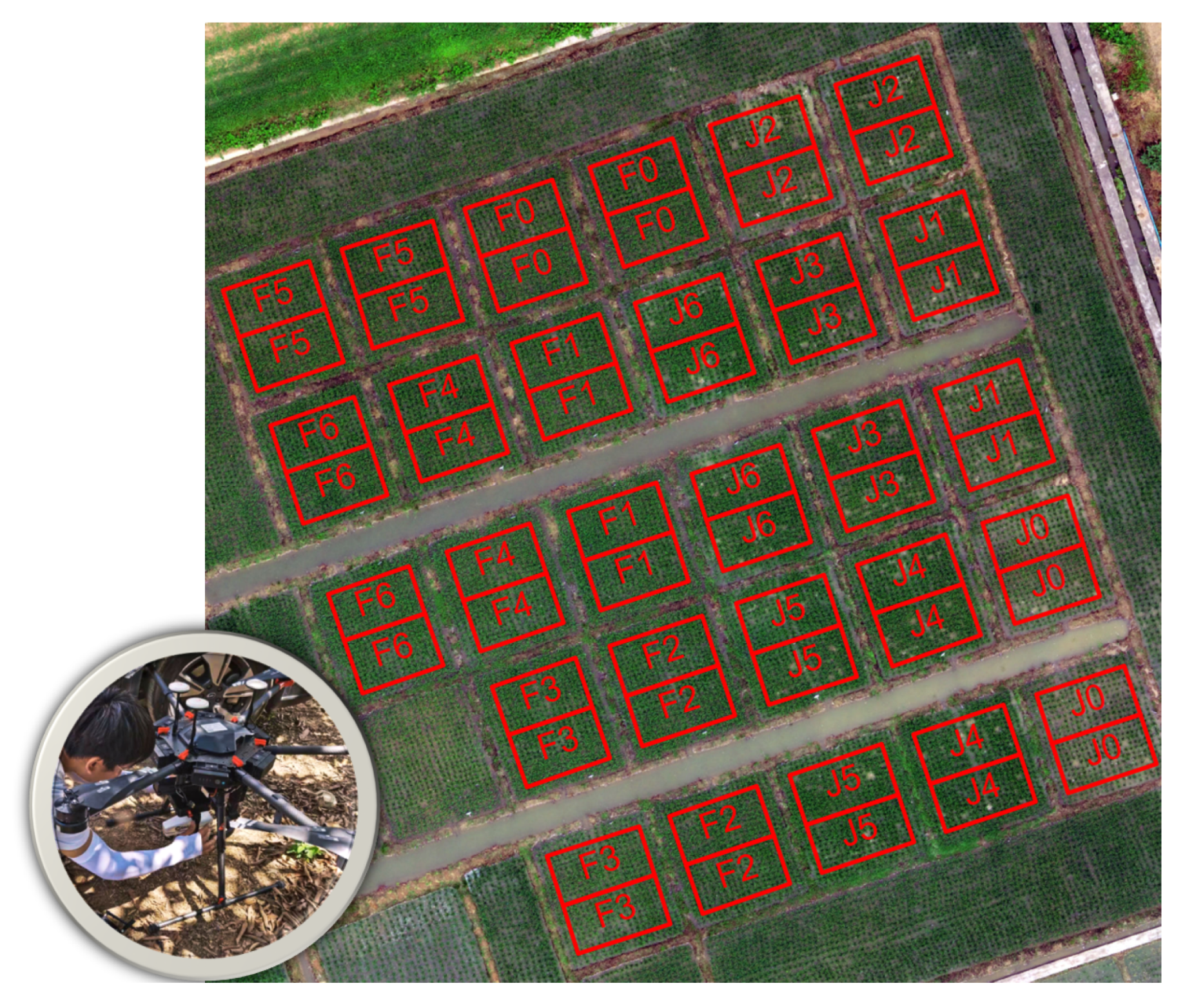 Remotesensing 13 02956 g001 550