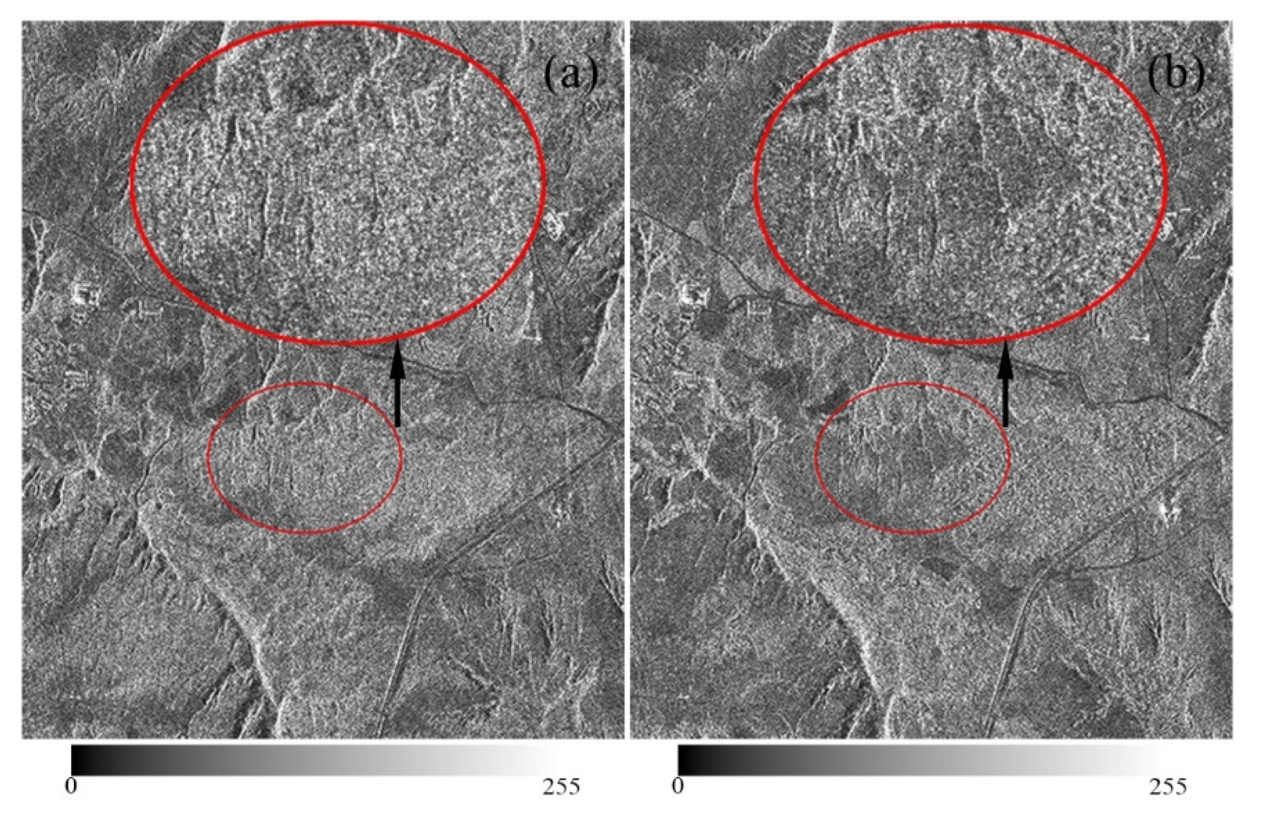 Remotesensing 13 02958 g013 550