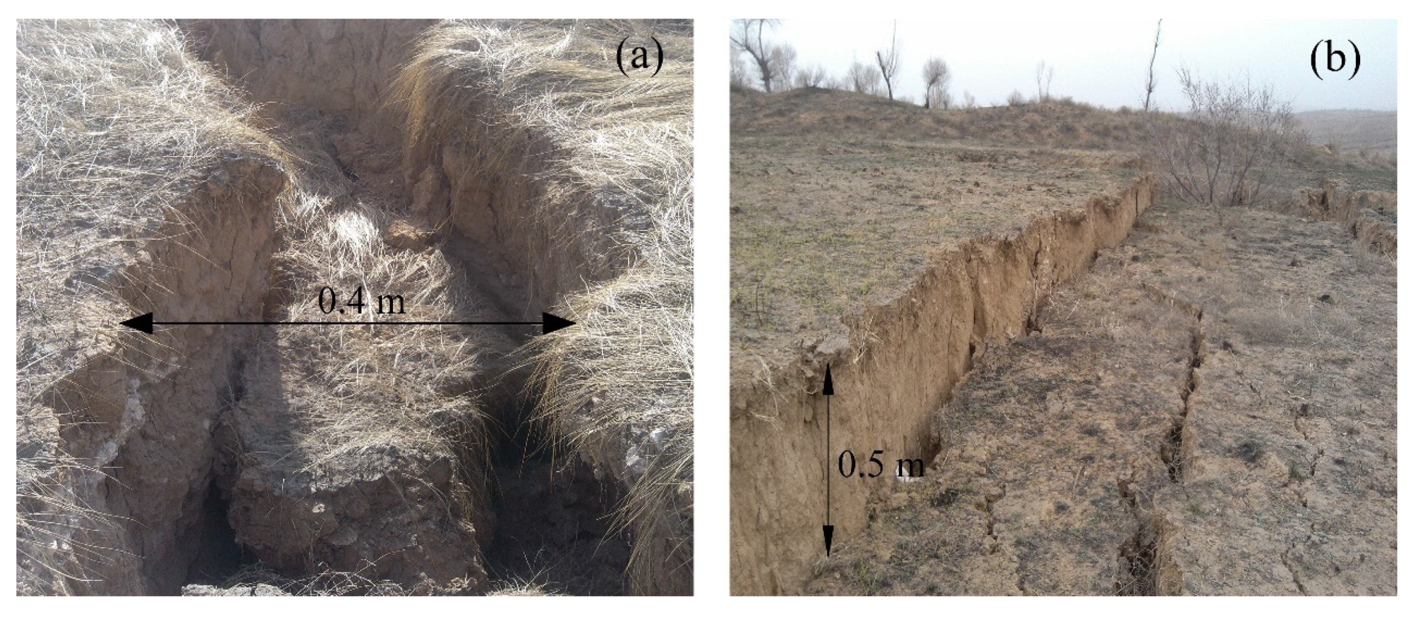 Remotesensing 13 02958 g014 550