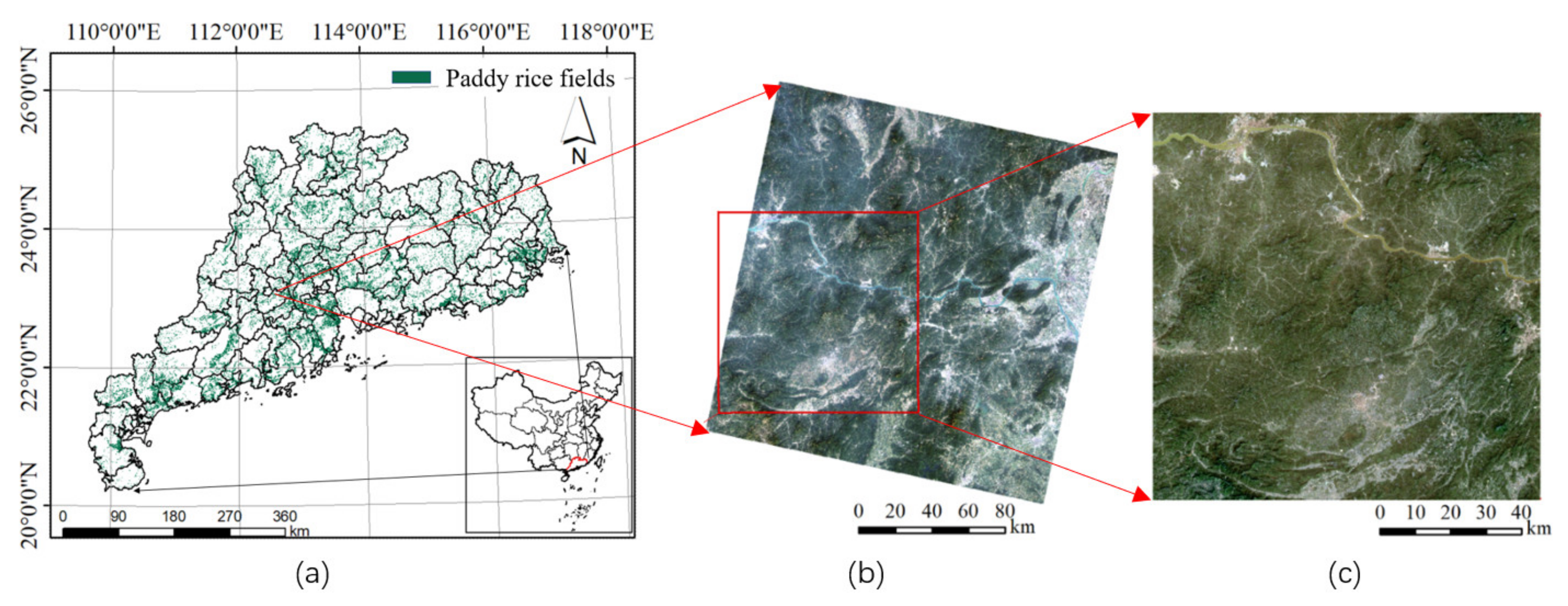 Remotesensing 13 02961 g001