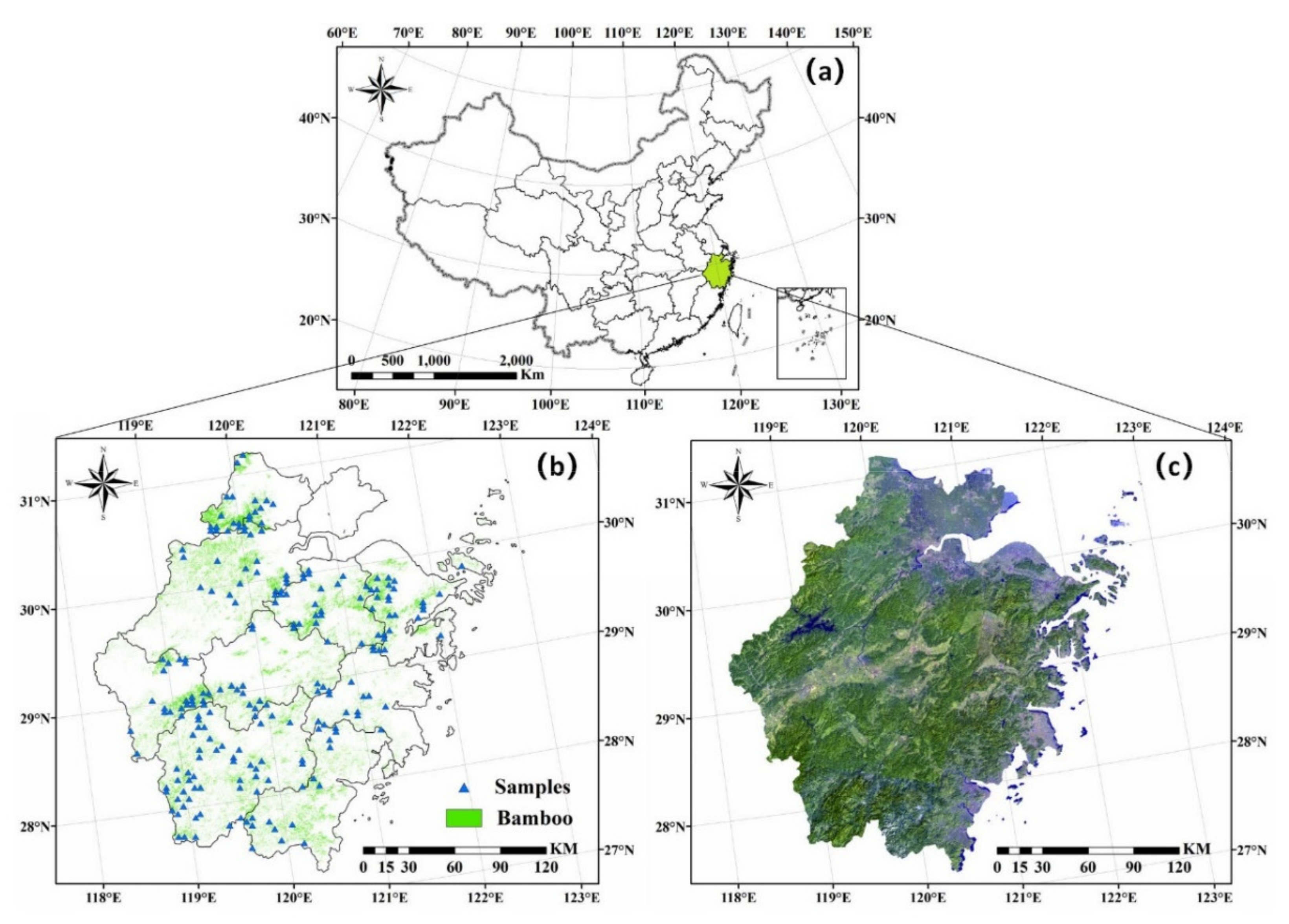 Remotesensing 13 02962 g001