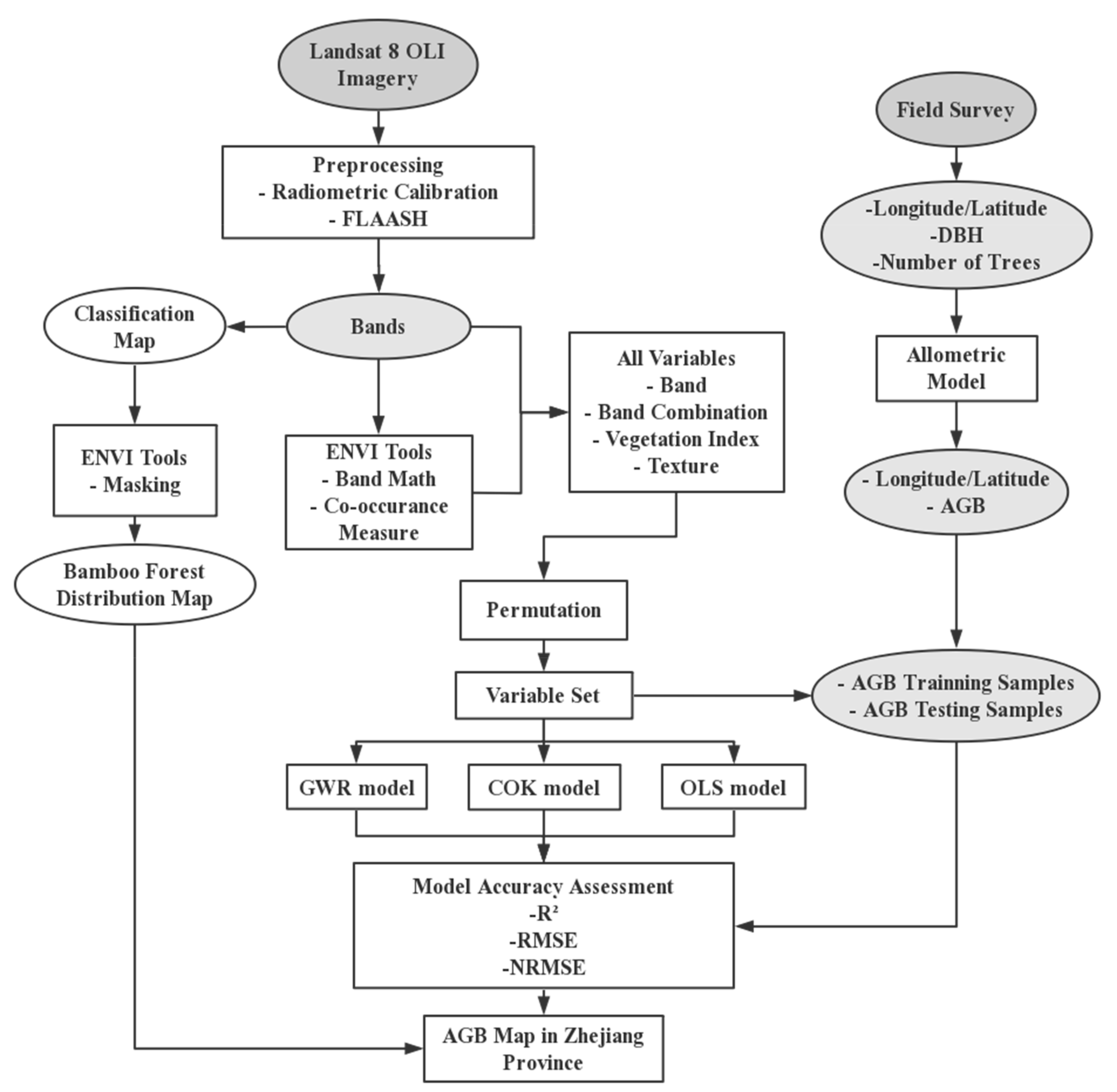 Remotesensing 13 02962 g002