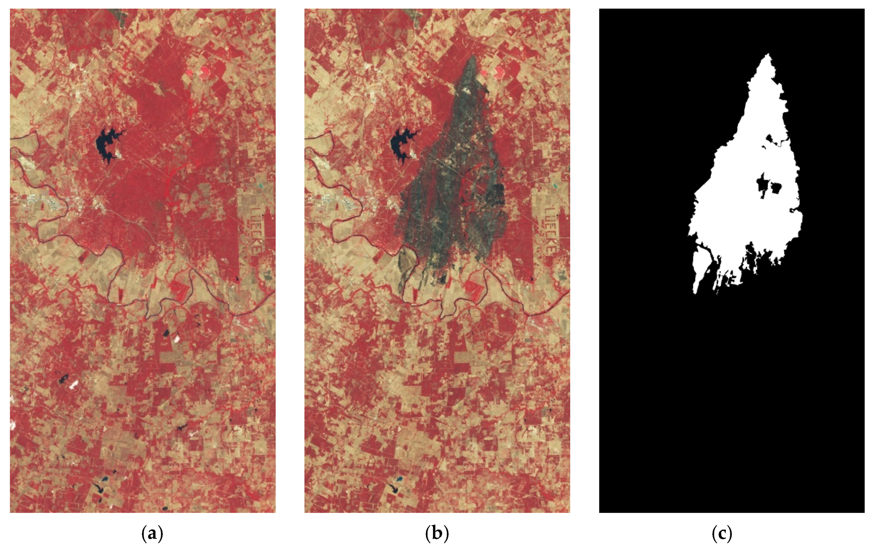 Remotesensing 13 02969 g006 550