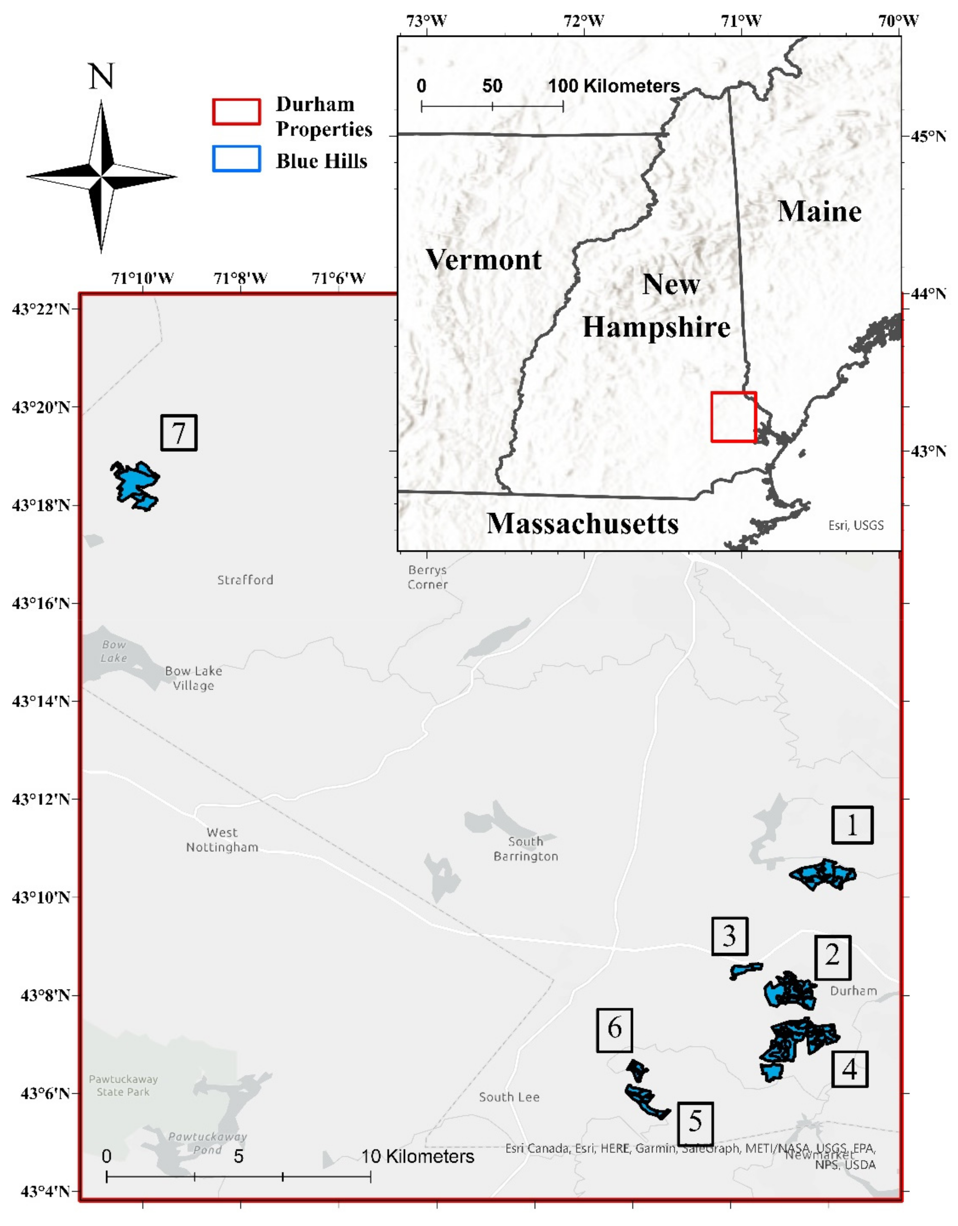 Remote Sensing Free Full Text Estimating Primary Forest Attributes And Rare Community Characteristics Using Unmanned Aerial Systems Uas An Enrichment Of Conventional Forest Inventories Html