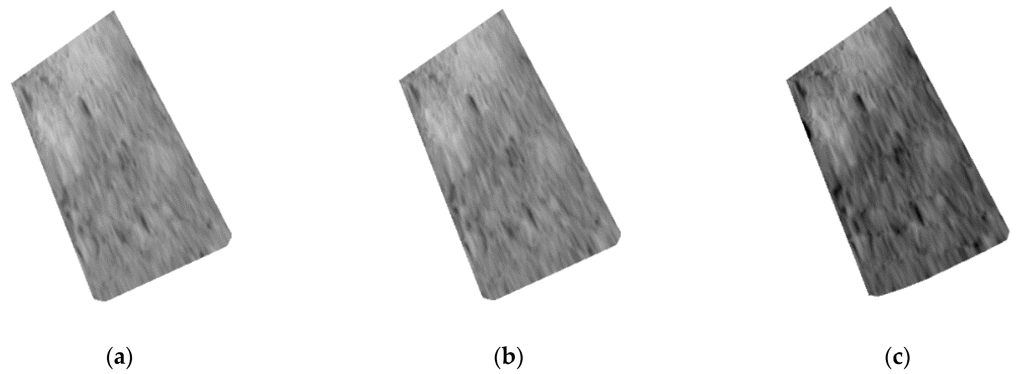 Remotesensing 13 02975 g021