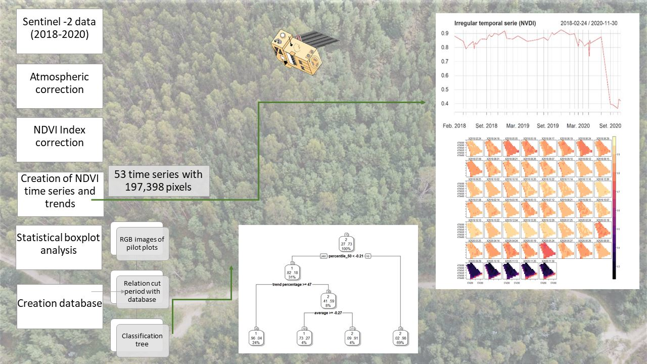 Remote Sensing Free Full Text Multi Temporal Sentinel 2 Data Analysis For Smallholding Forest Cut Control Html