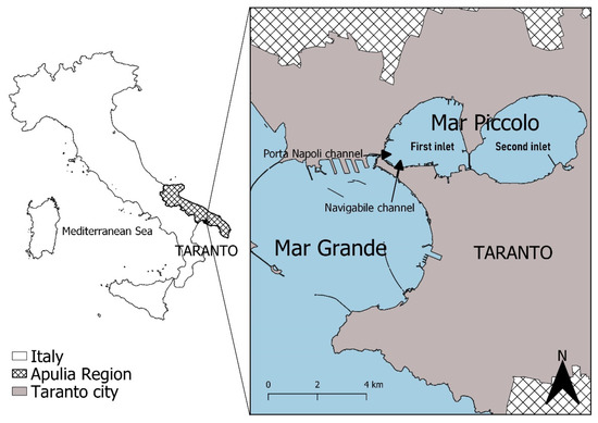 Remote Sensing Free Full Text Towards Sustainable Management Of Mussel Farming Through High Resolution Images And Open Source Software The Taranto Case Study Html