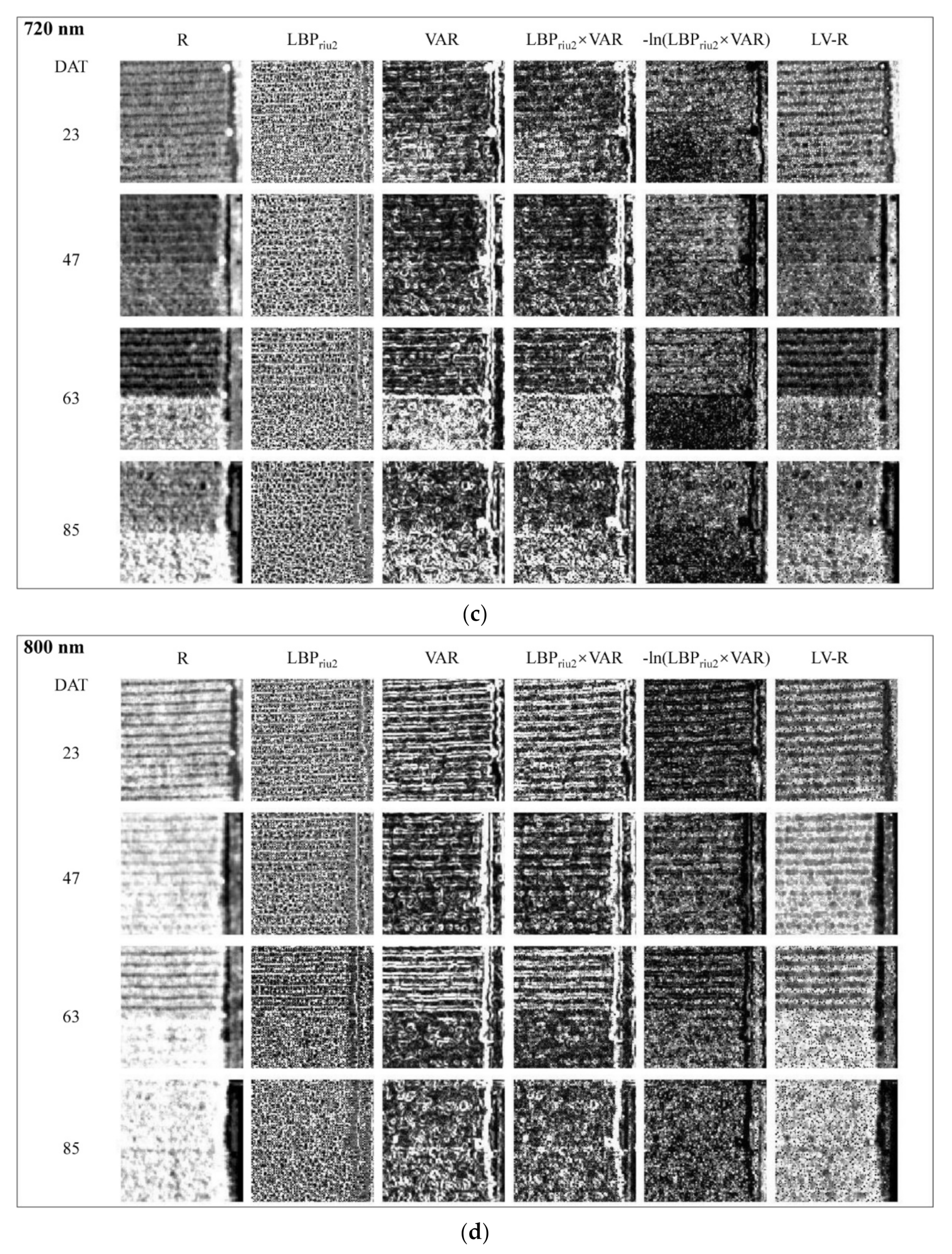 Remotesensing 13 03001 g010b