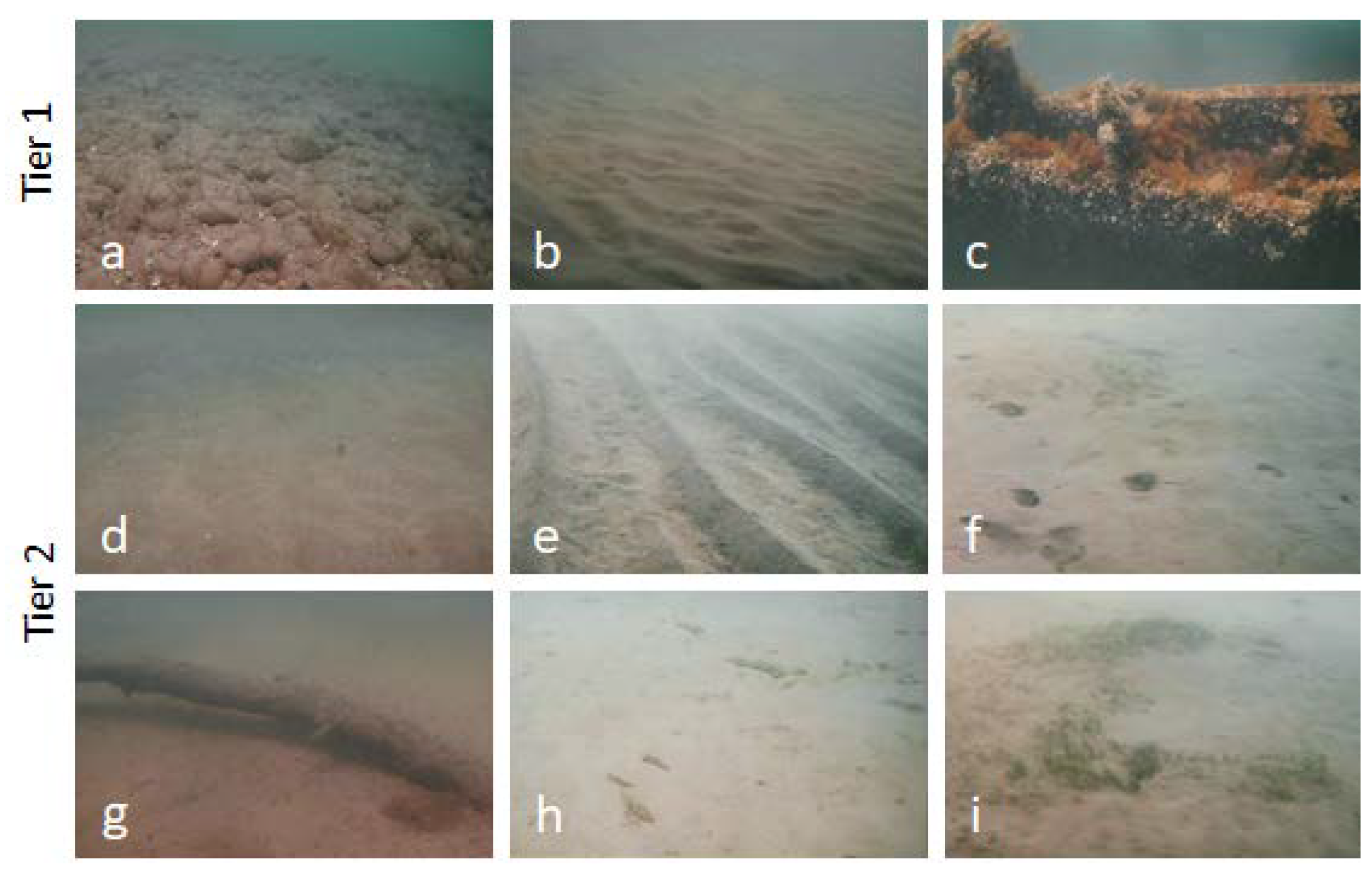 Remotesensing 13 03026 g007