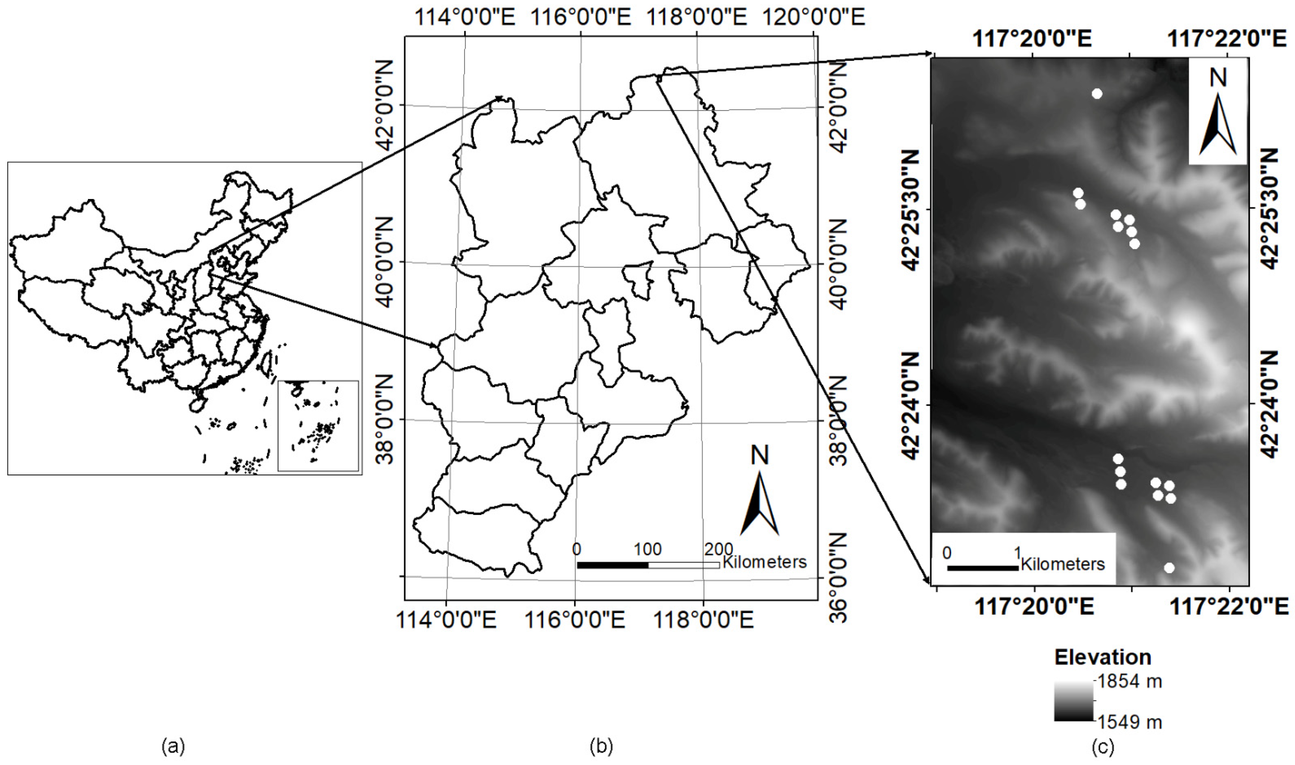 Remotesensing 13 03036 g002