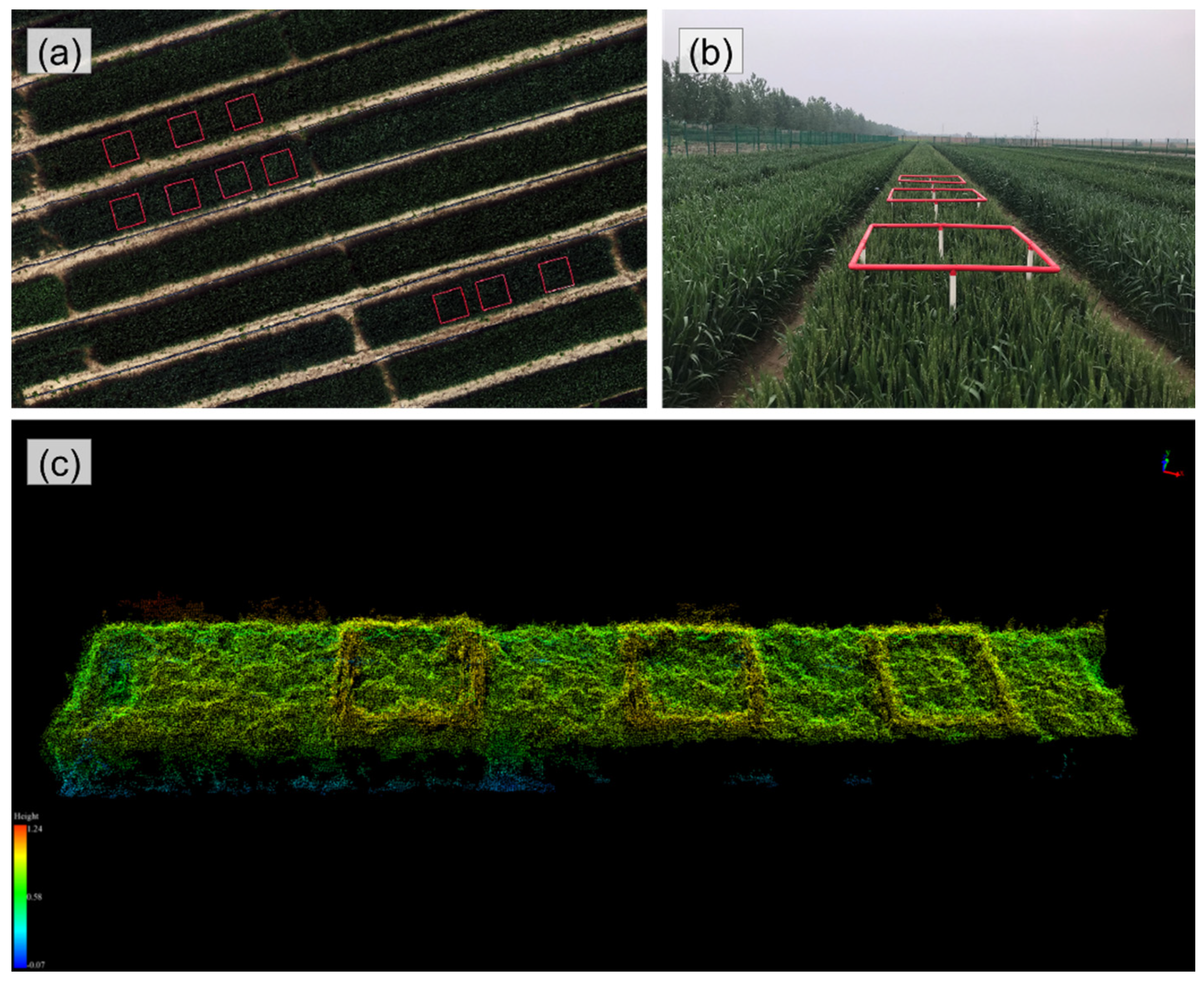 Remotesensing 13 03067 g003 Remotesensing 13 03067 g003