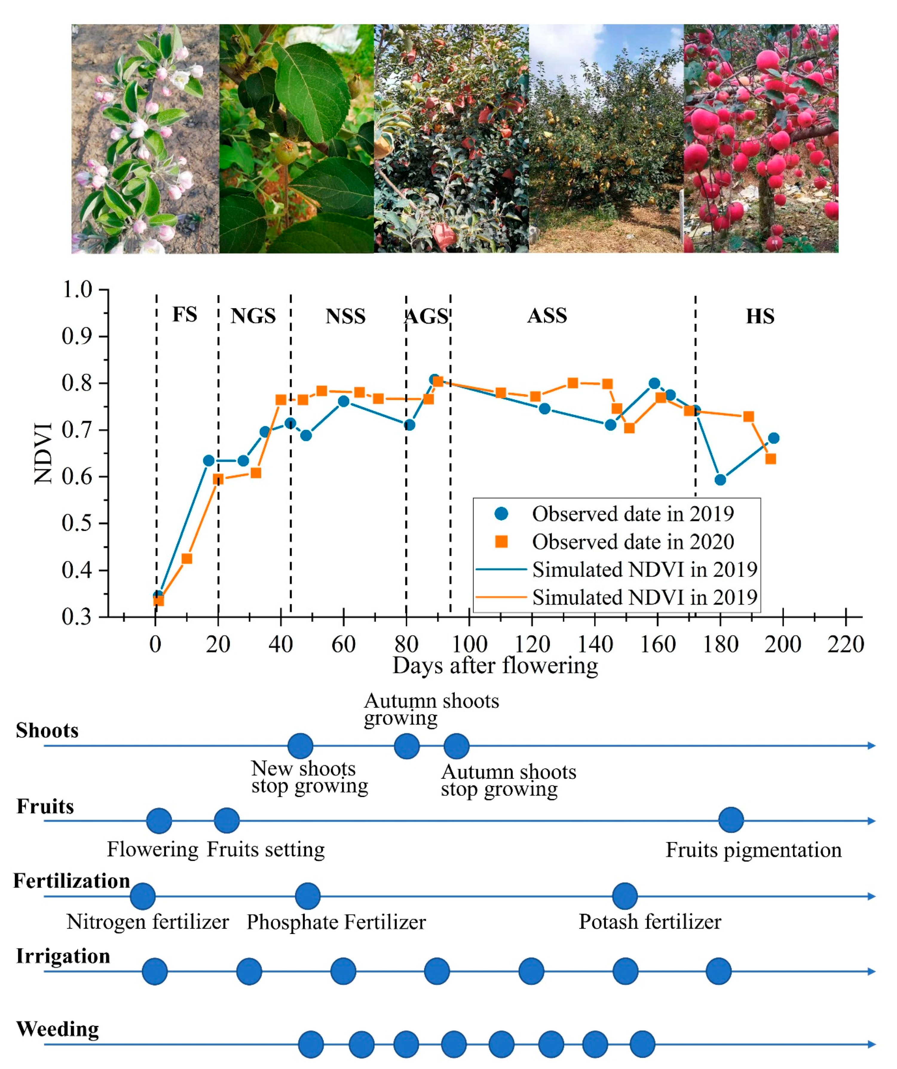 Remotesensing 13 03073 g002