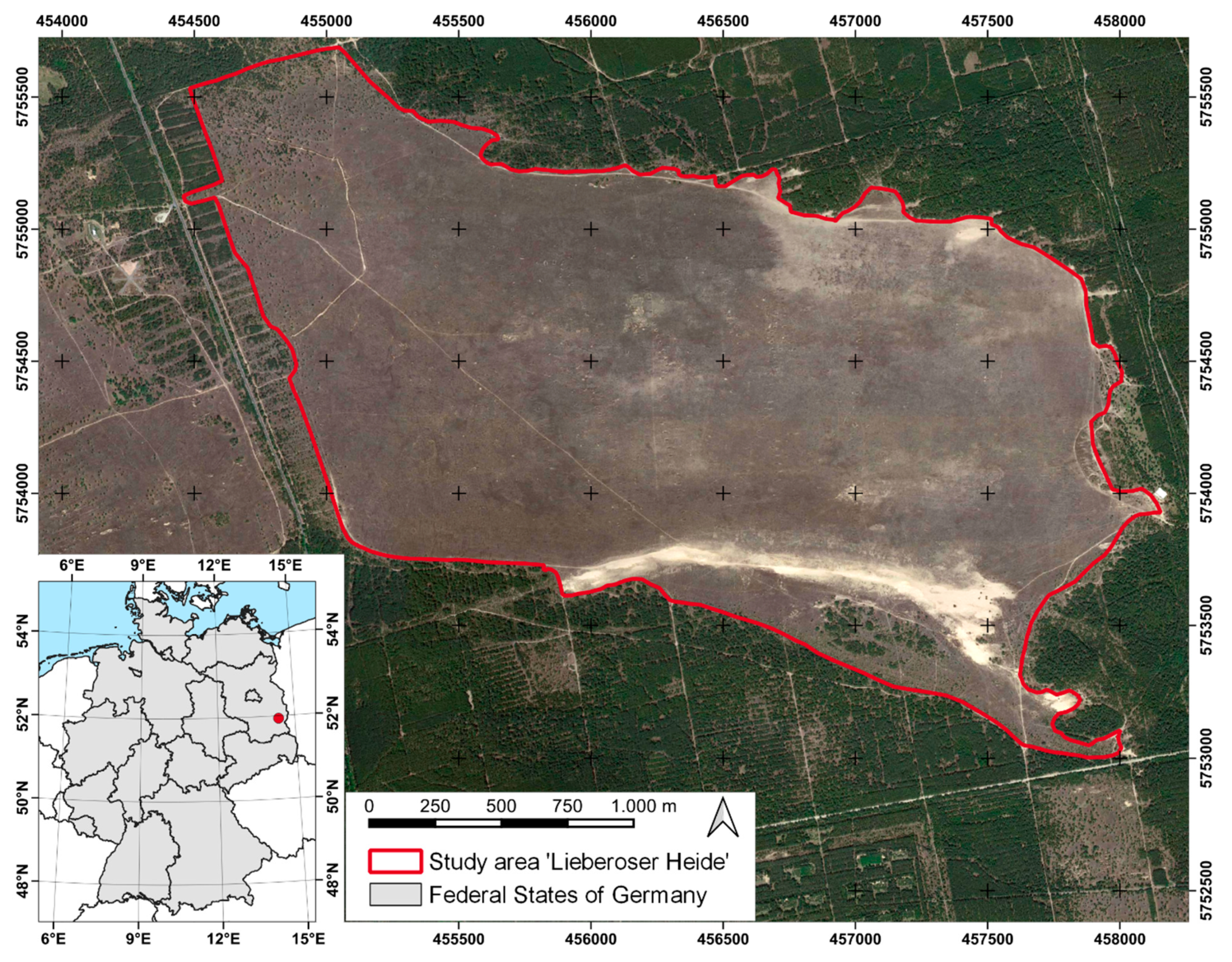 Remotesensing 13 03093 g001