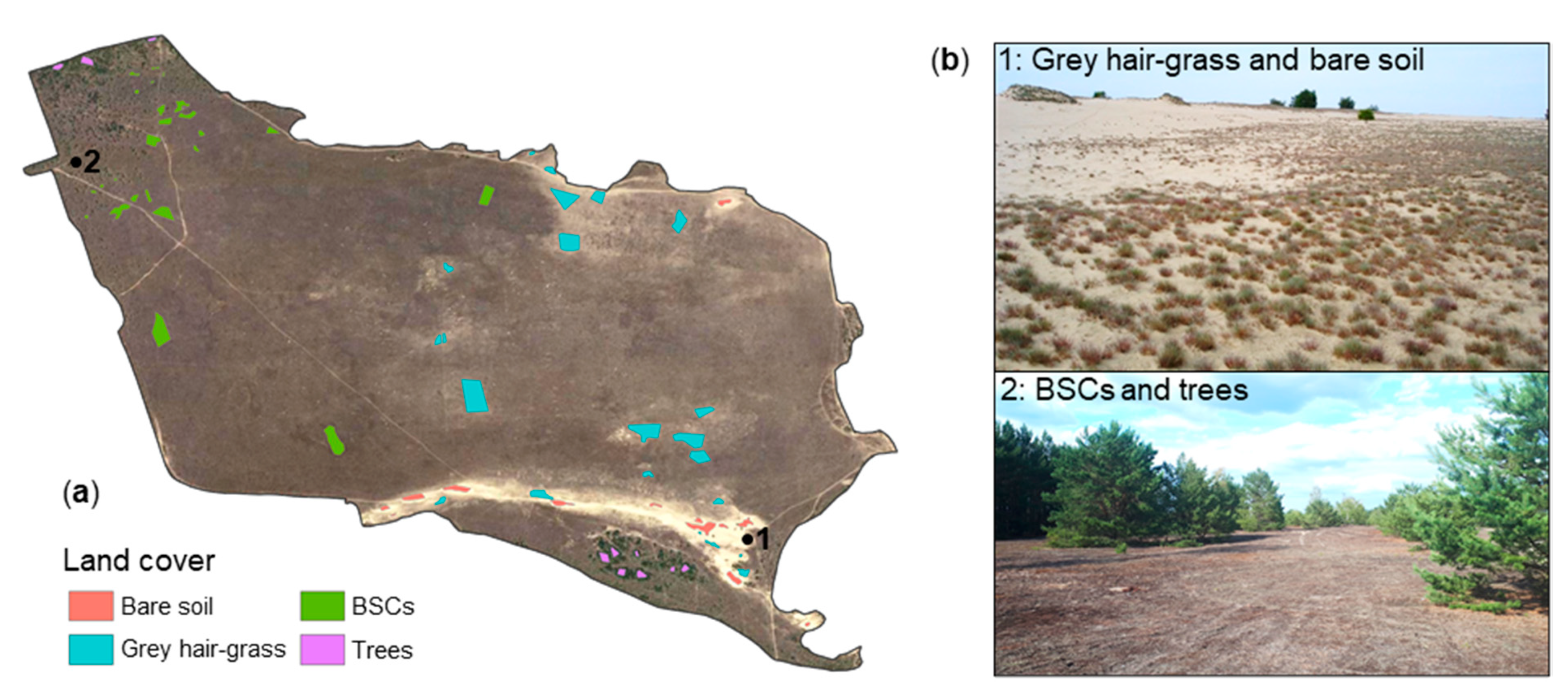 Remotesensing 13 03093 g003