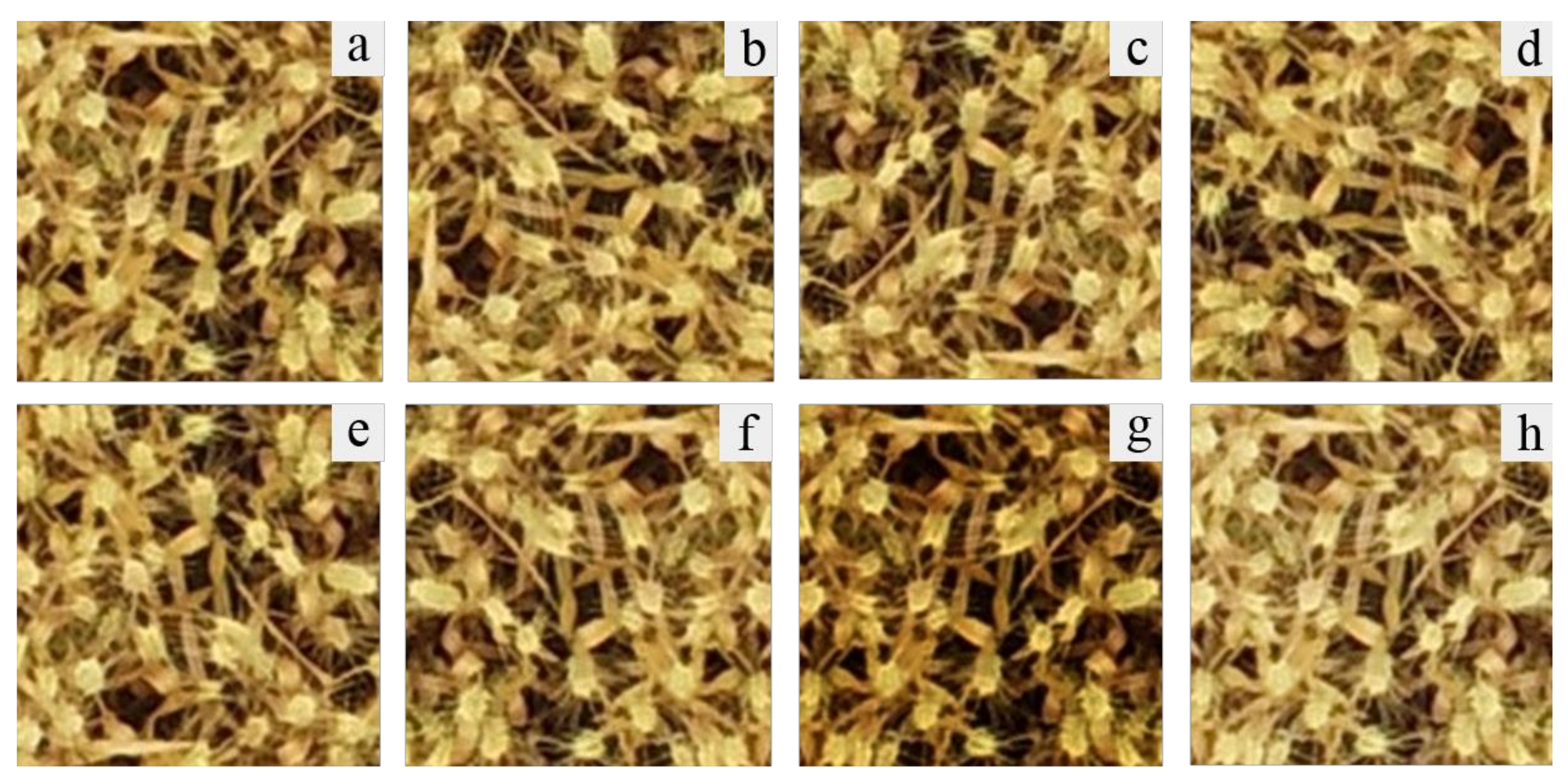 Remotesensing 13 03095 g003 550