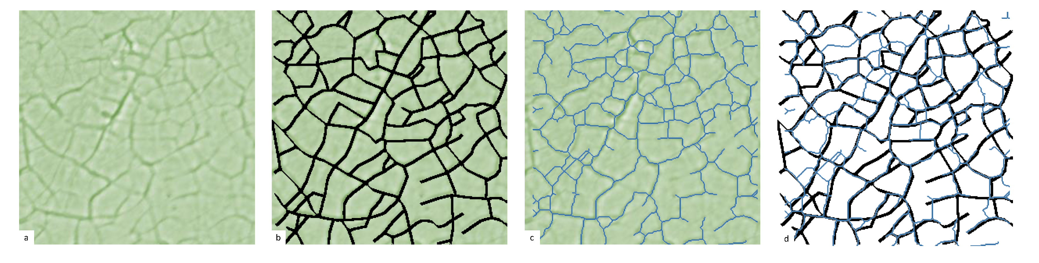 Remotesensing 13 03098 g0a1