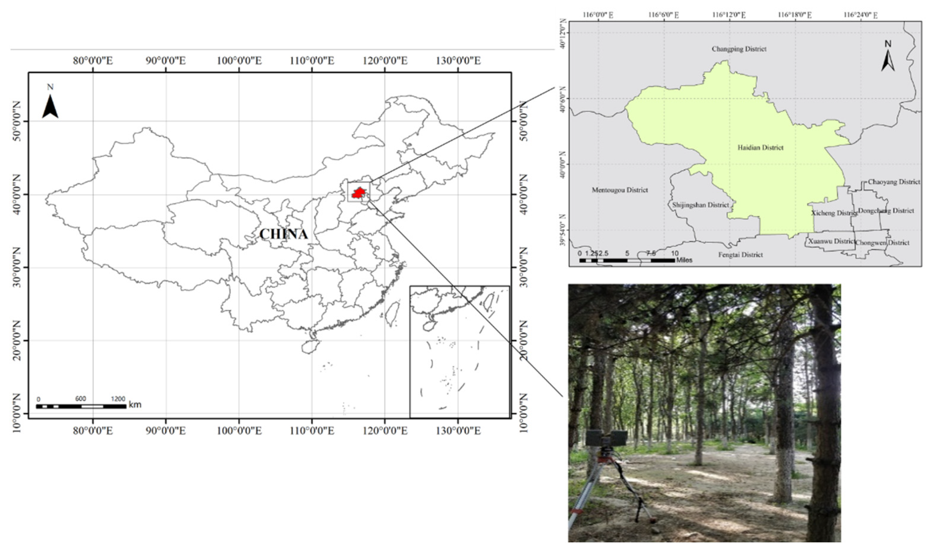 Remotesensing 13 03138 g001