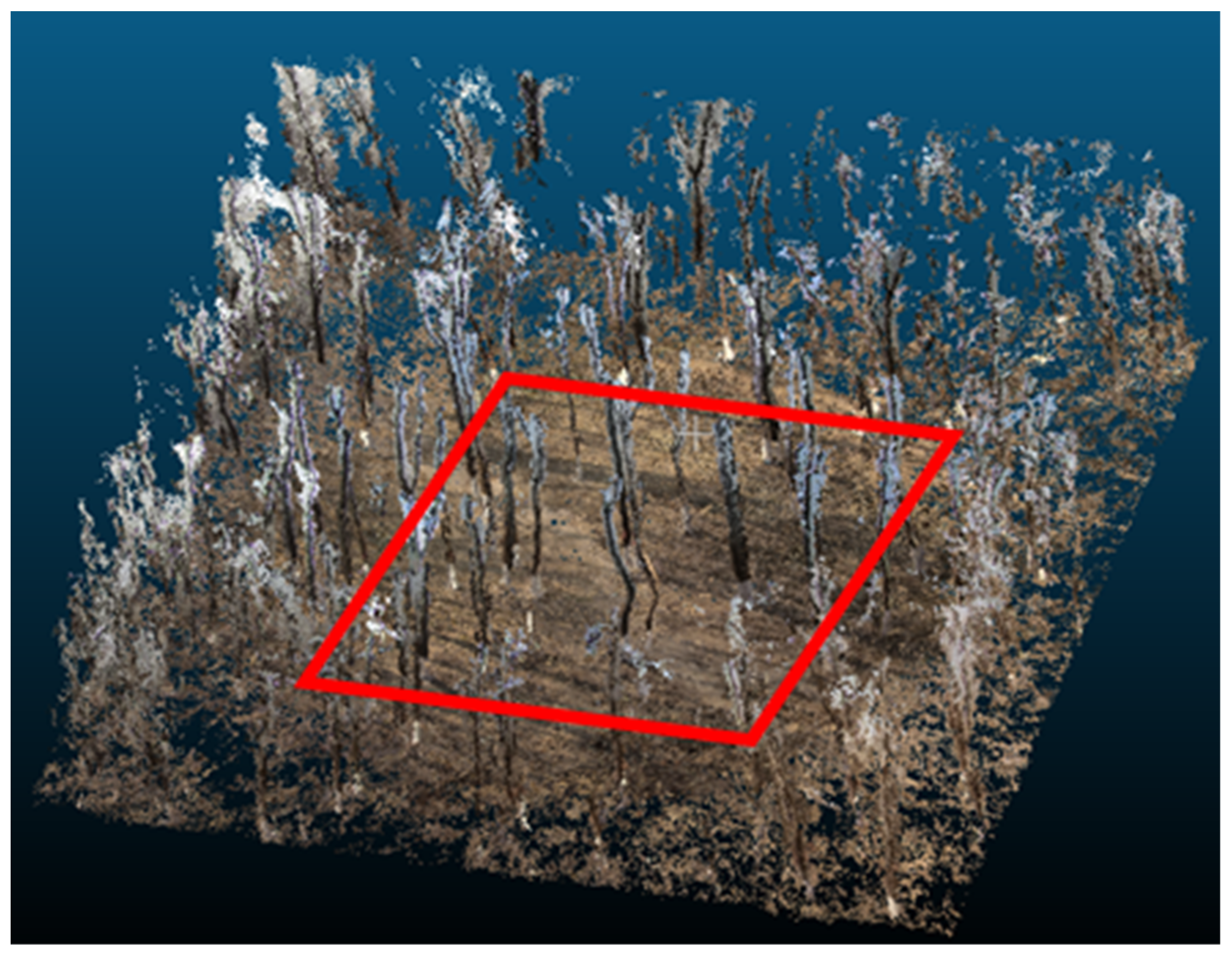 Remotesensing 13 03138 g006