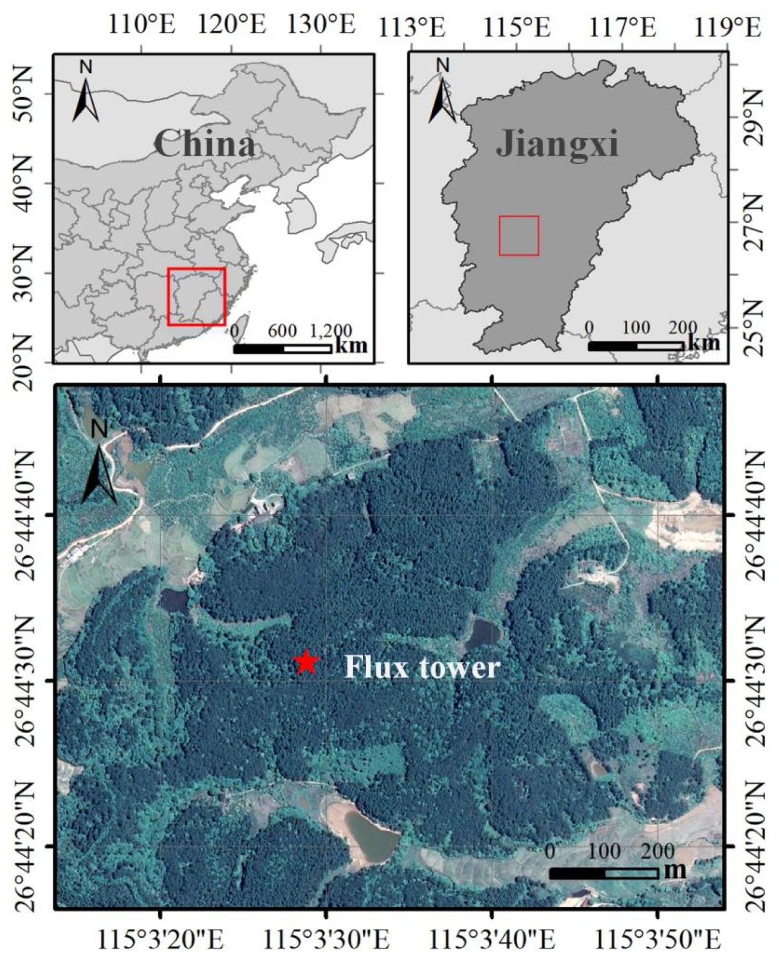 Remotesensing 13 03143 g001 550