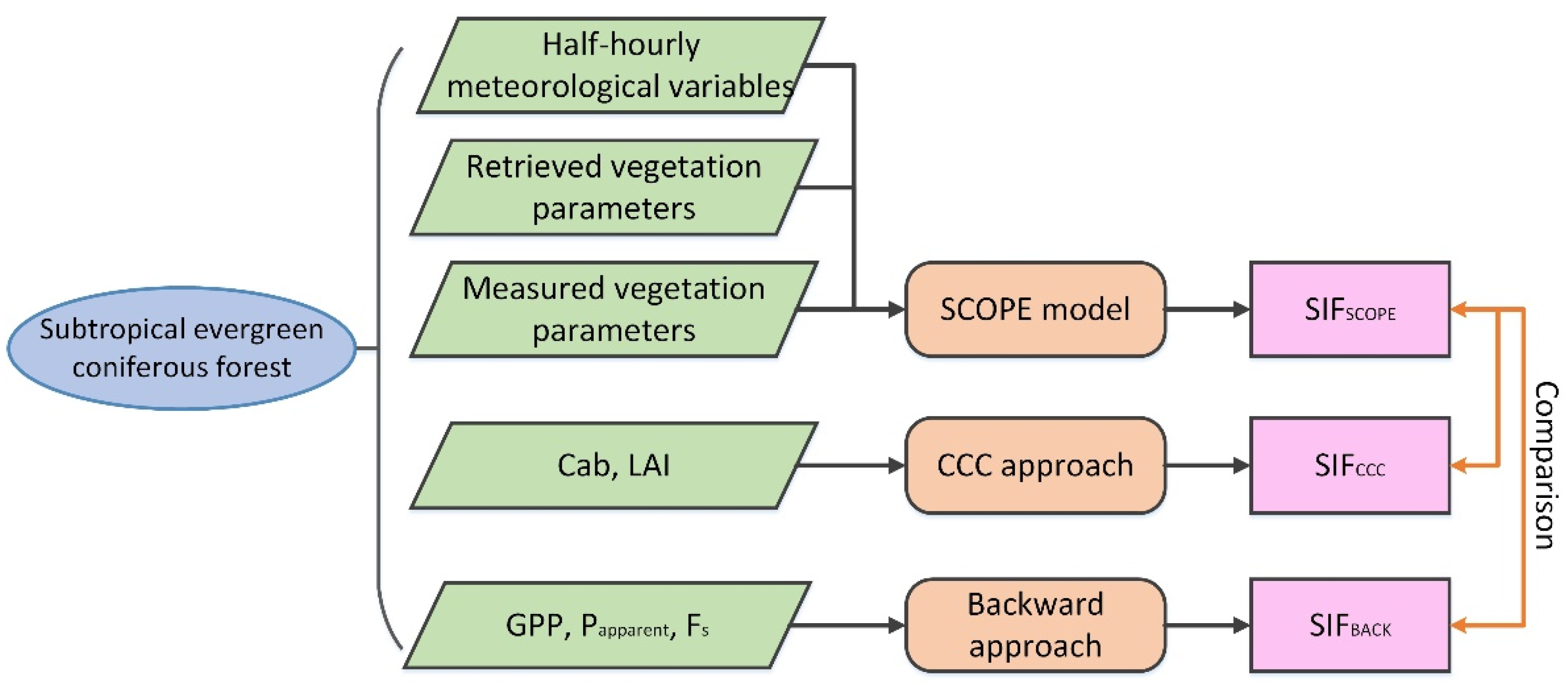 Remotesensing 13 03143 g003 550