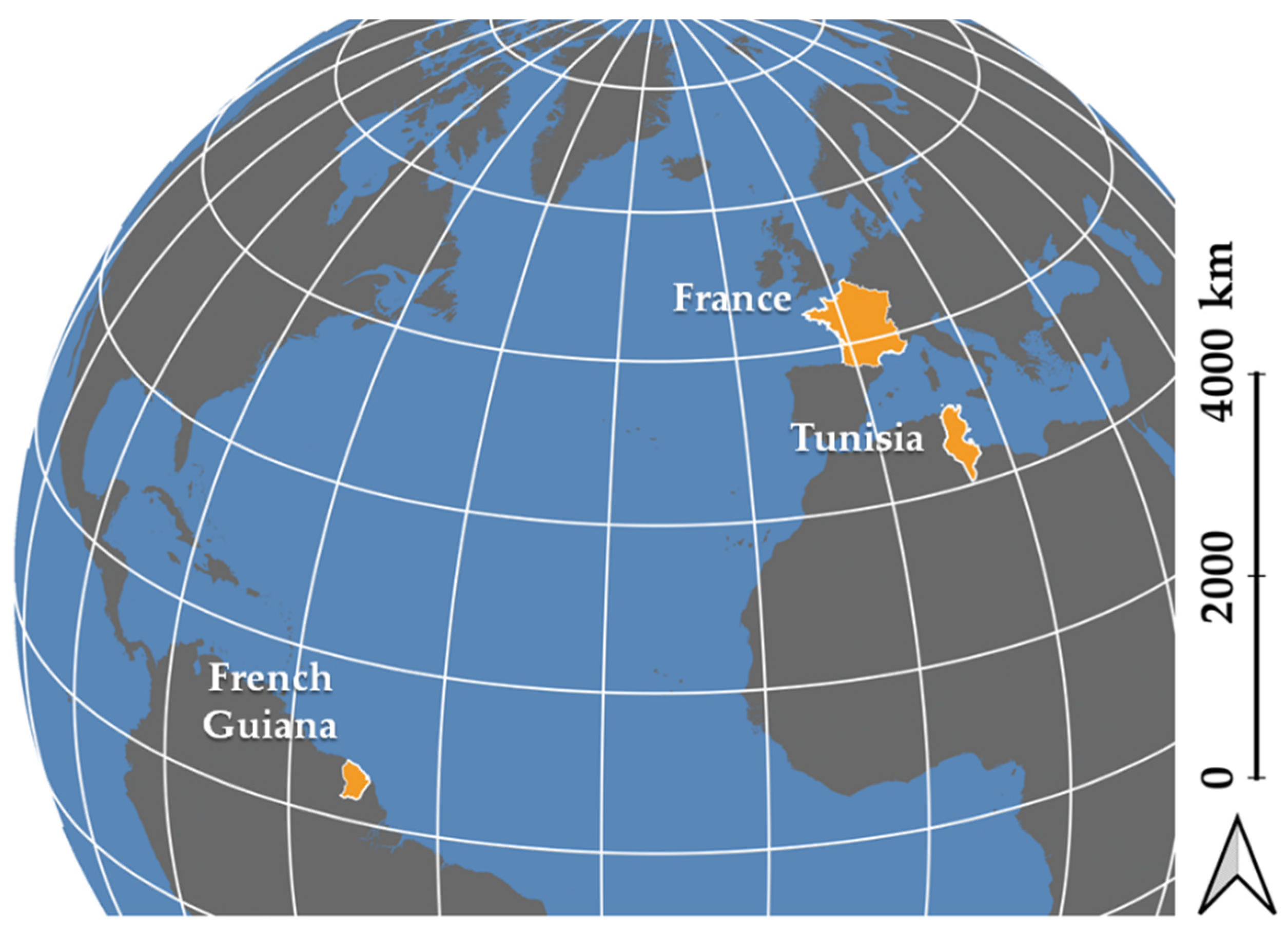 Remotesensing 13 03144 g001 550