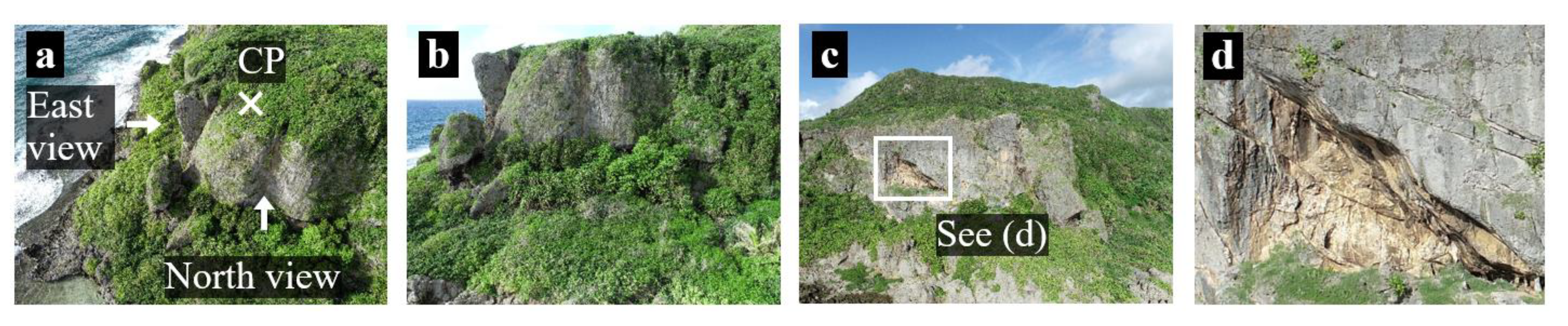 Remotesensing 13 03152 g009