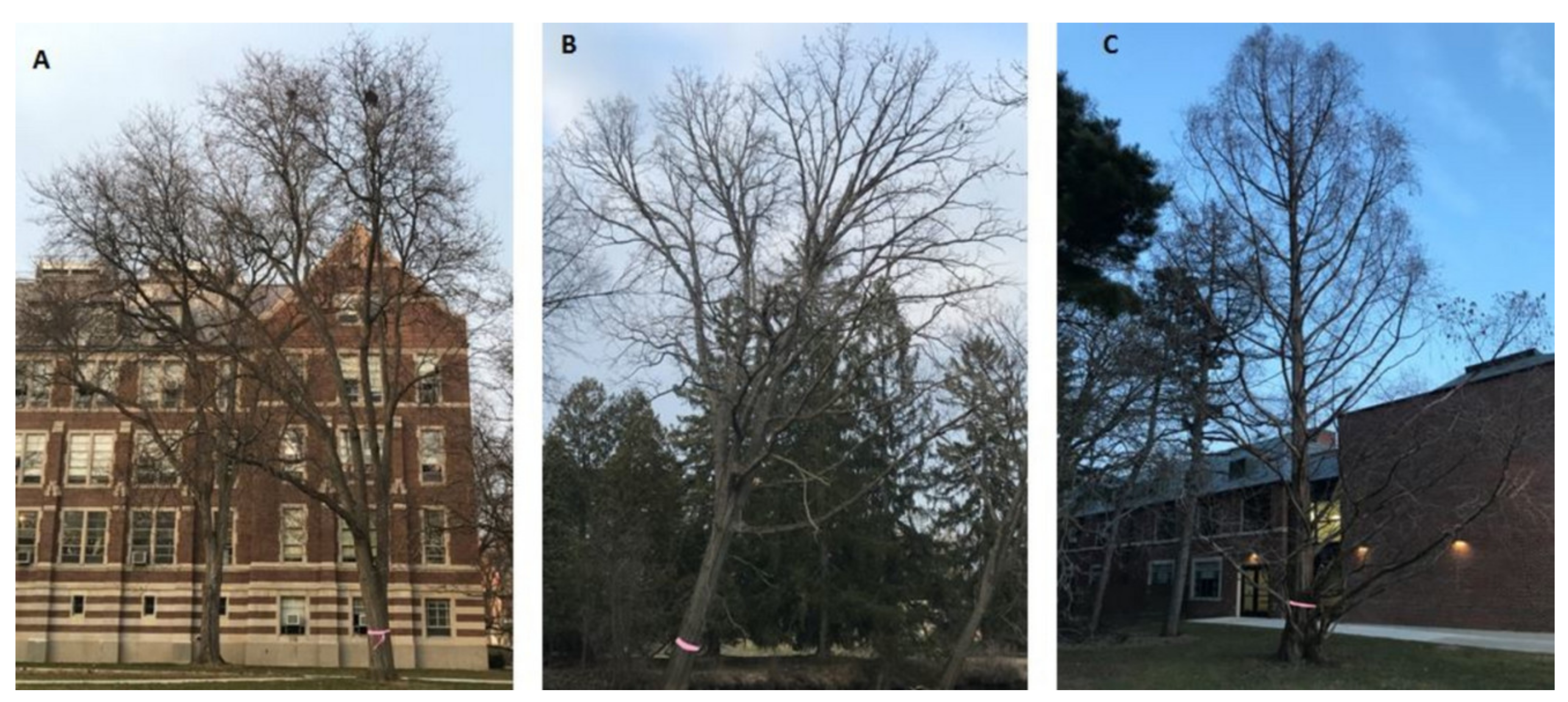 Remotesensing 13 03153 g001