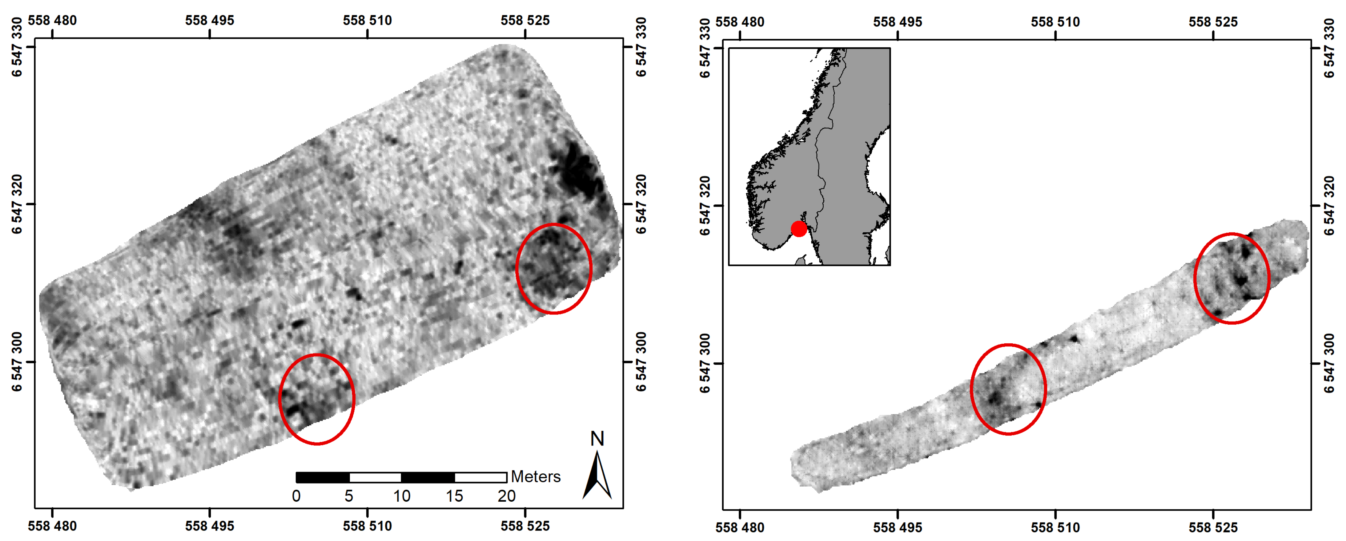 Remotesensing 13 03170 g005 550