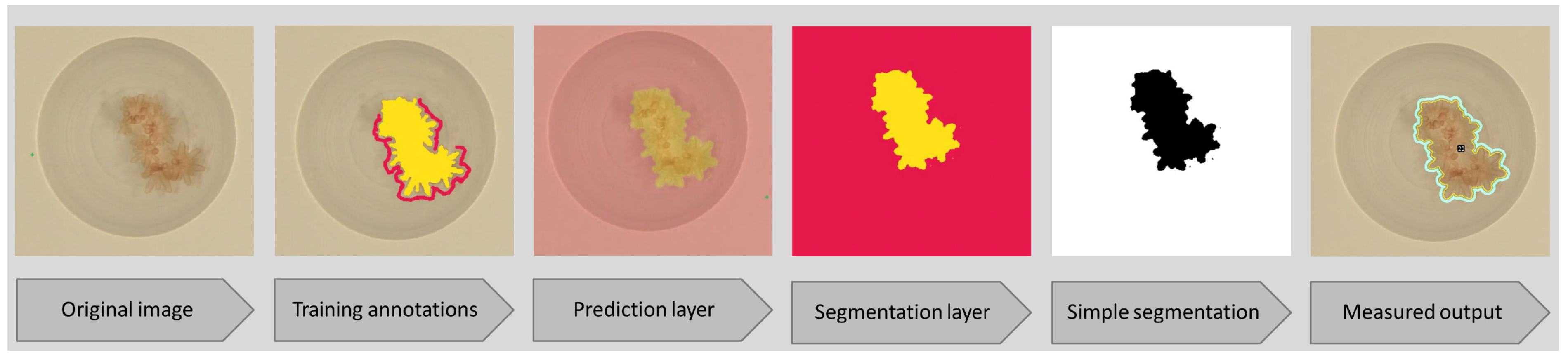 Remotesensing 13 03173 g002 Remotesensing 13 03173 g002