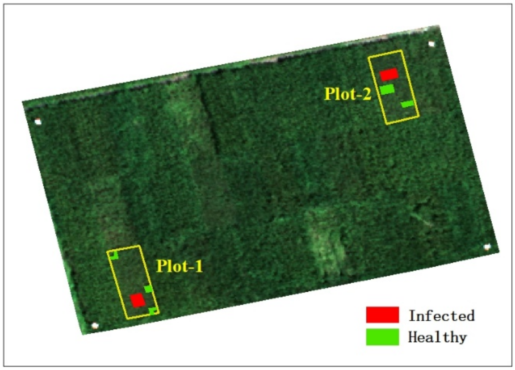 Remotesensing 13 03185 g003 550