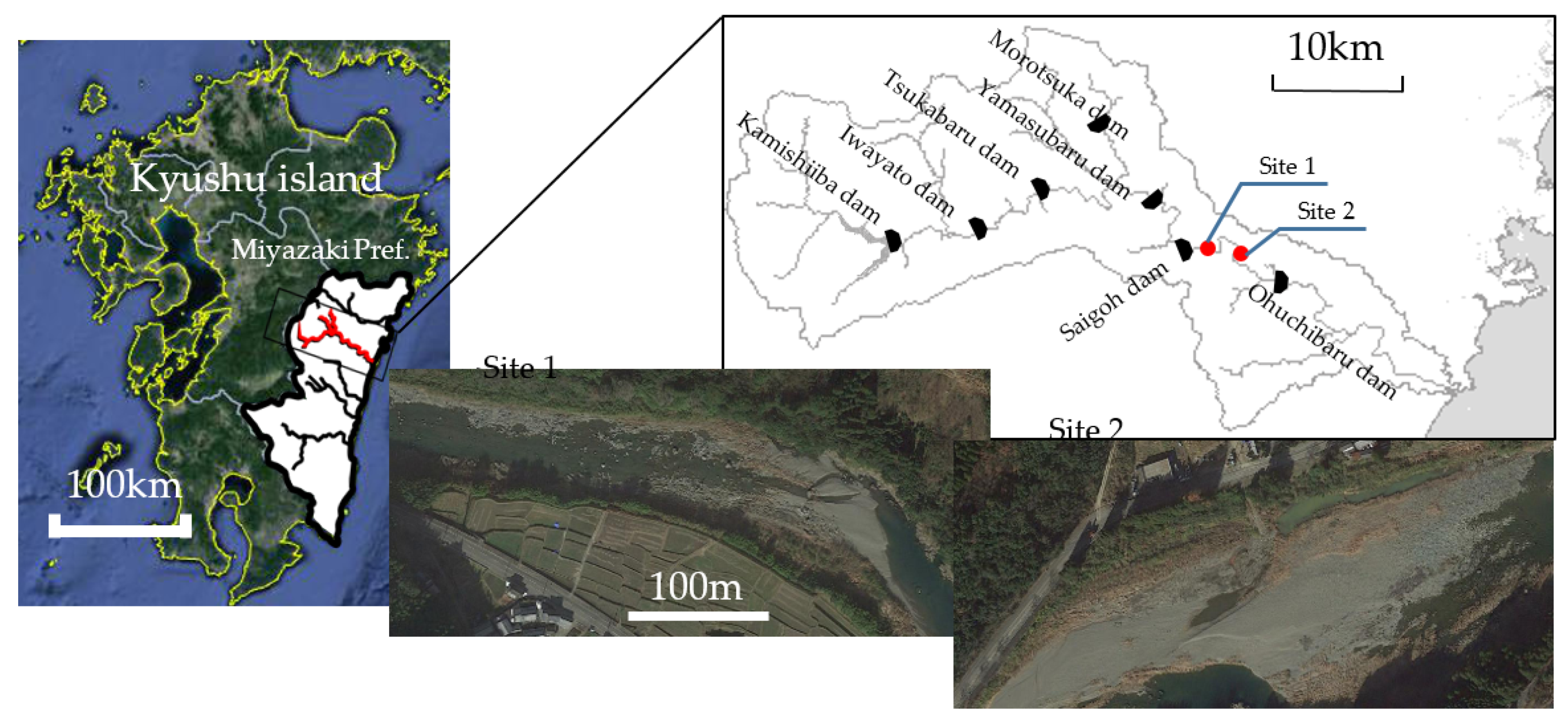 Remotesensing 13 03188 g001 550