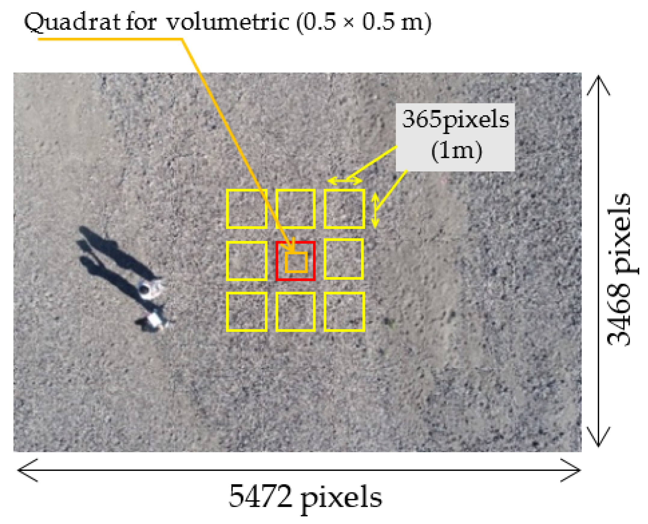 Remotesensing 13 03188 g003 550
