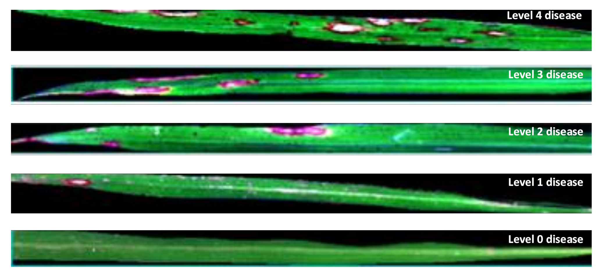 Remotesensing 13 03207 g001