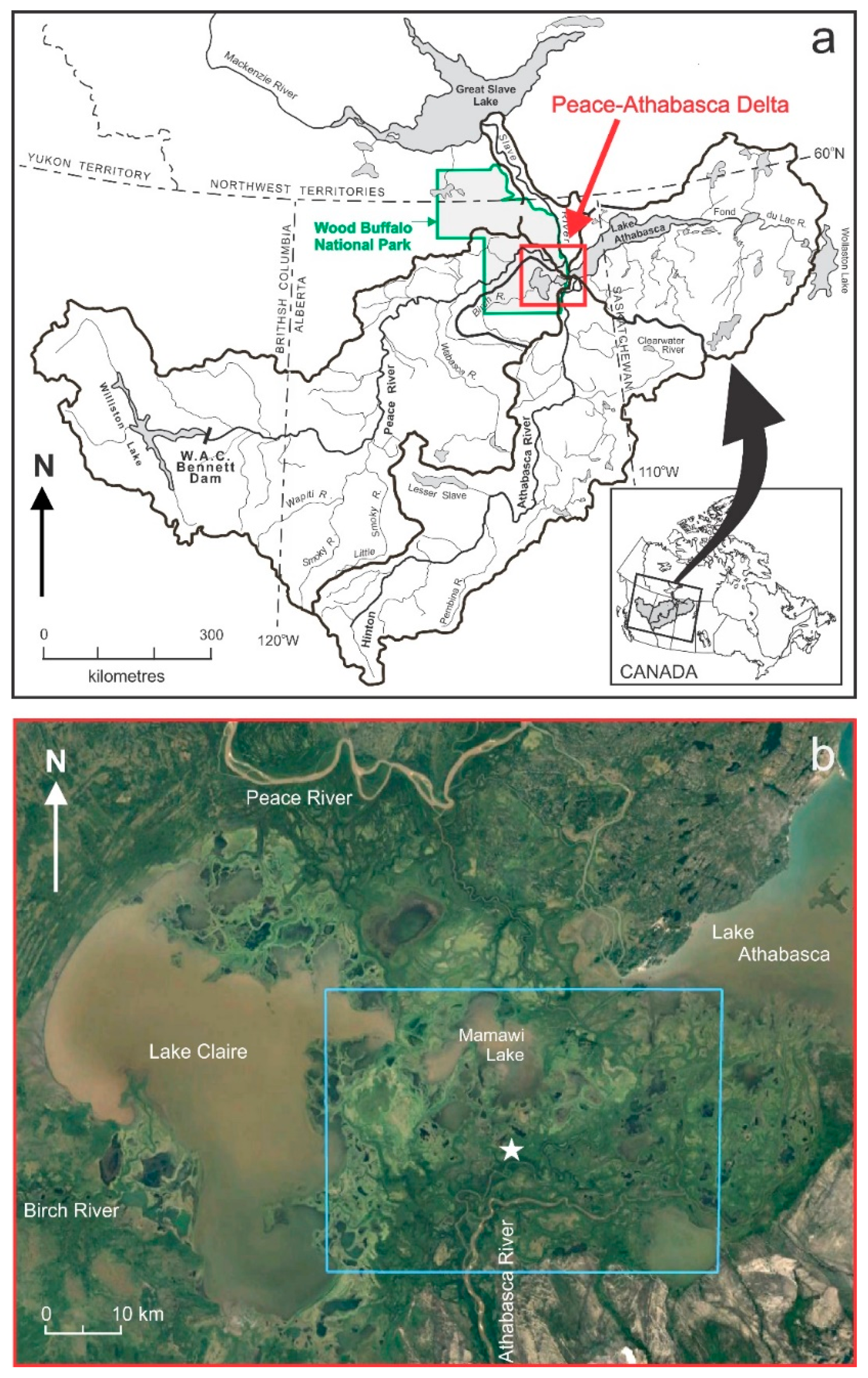 Remotesensing 13 03219 g001