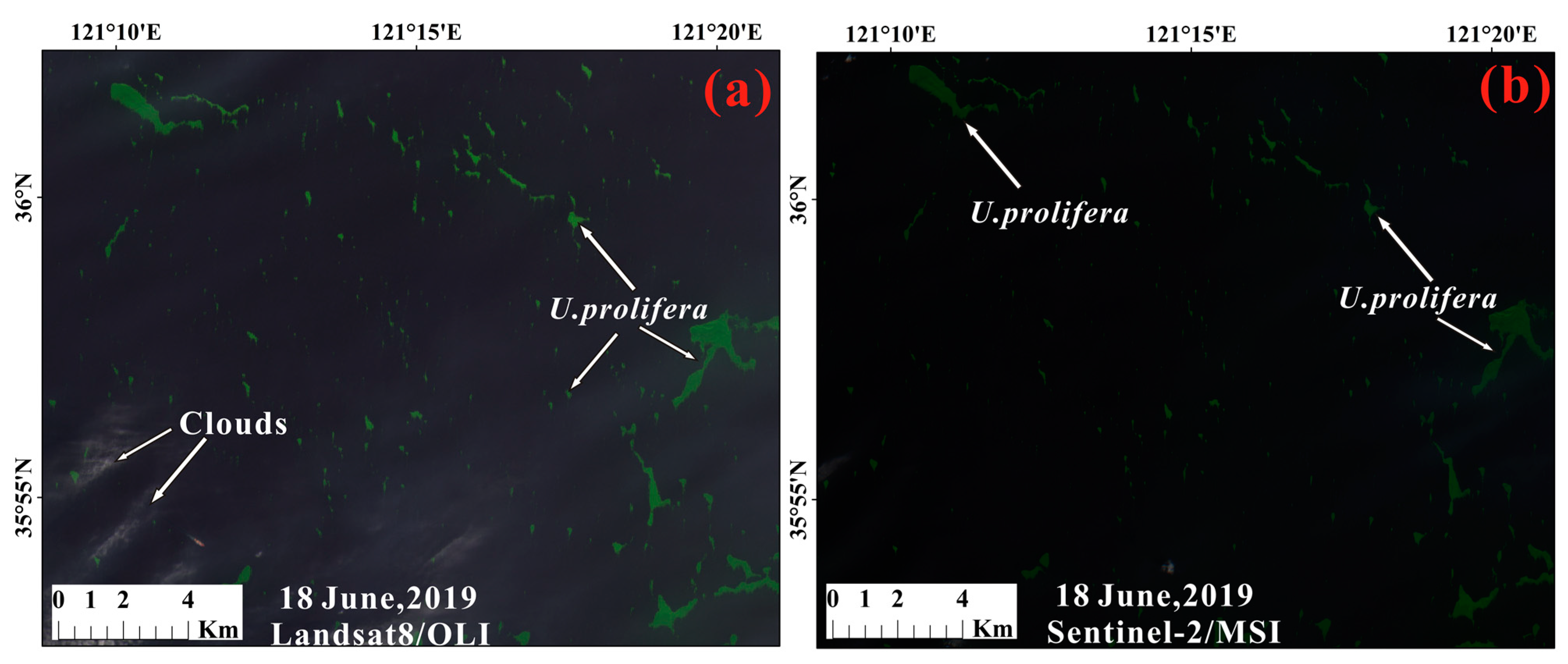 Remotesensing 13 03240 g005 550