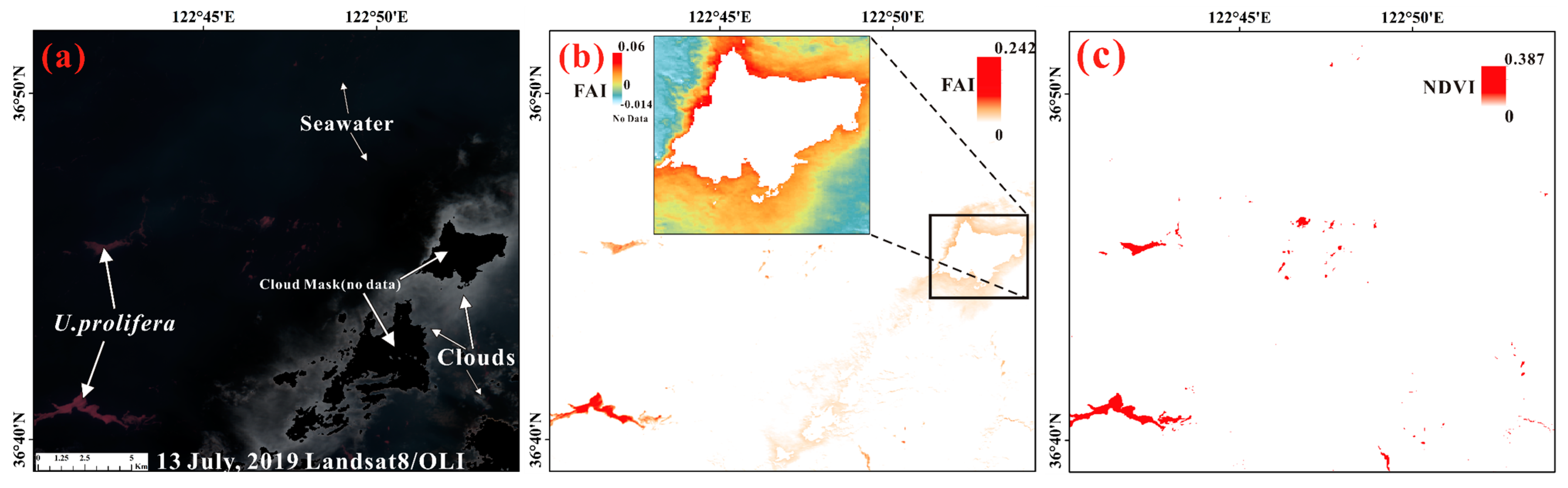 Remotesensing 13 03240 g016 550