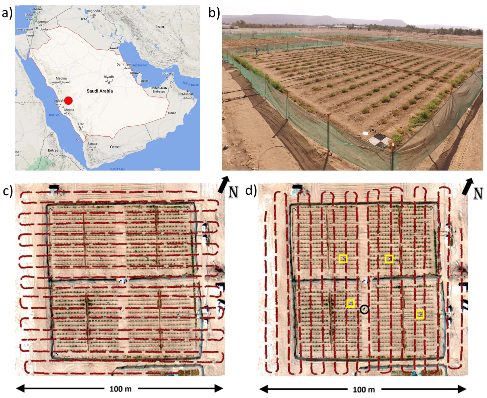 Remotesensing 13 03255 g001