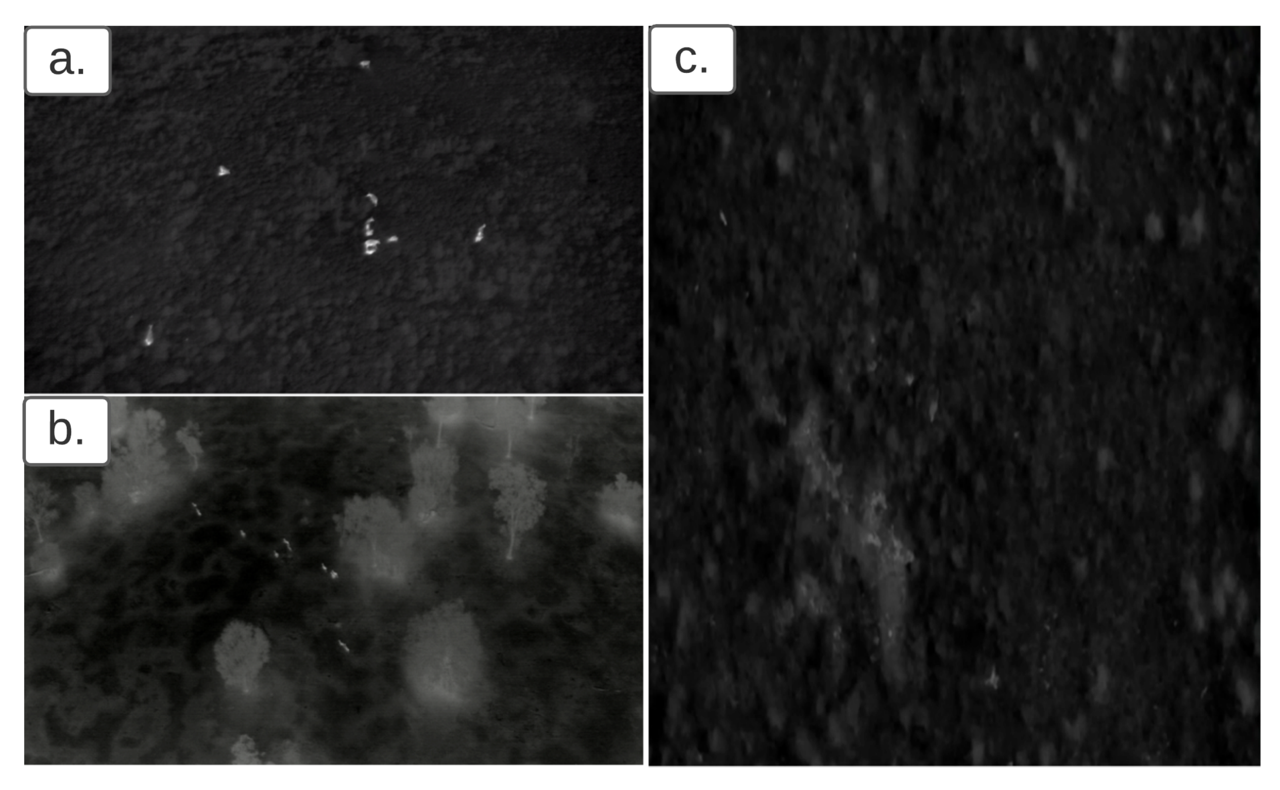 Remotesensing 13 03276 g001