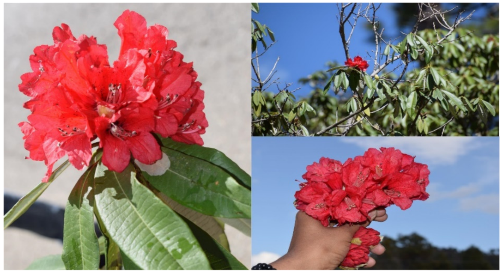 Remotesensing 13 03284 g002