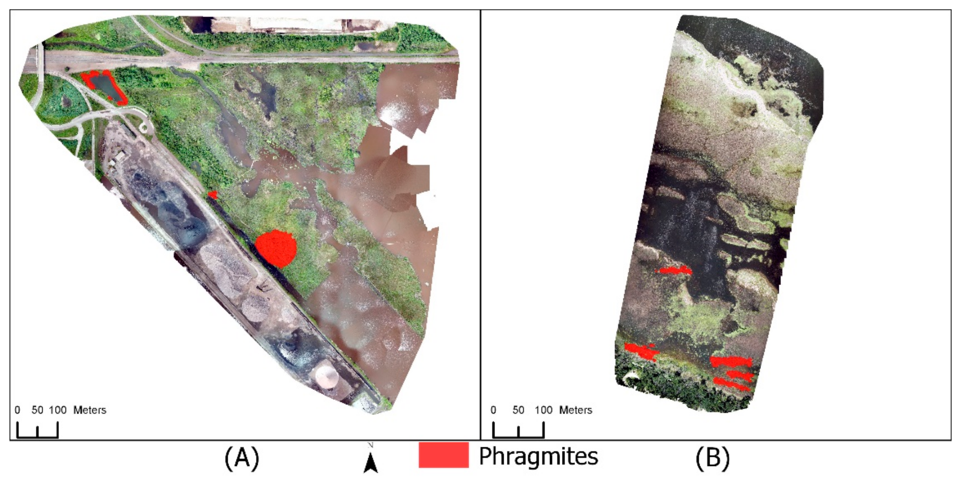 Remotesensing 13 03303 g003 550