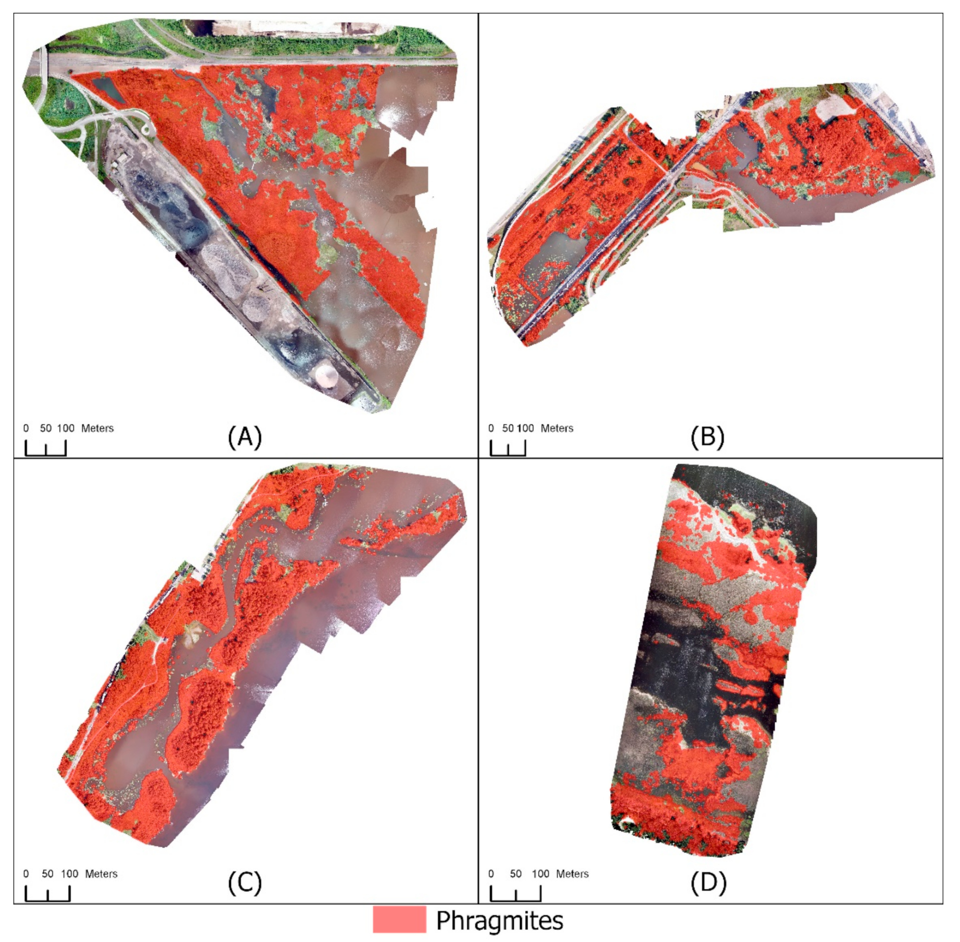 Remotesensing 13 03303 g005 550