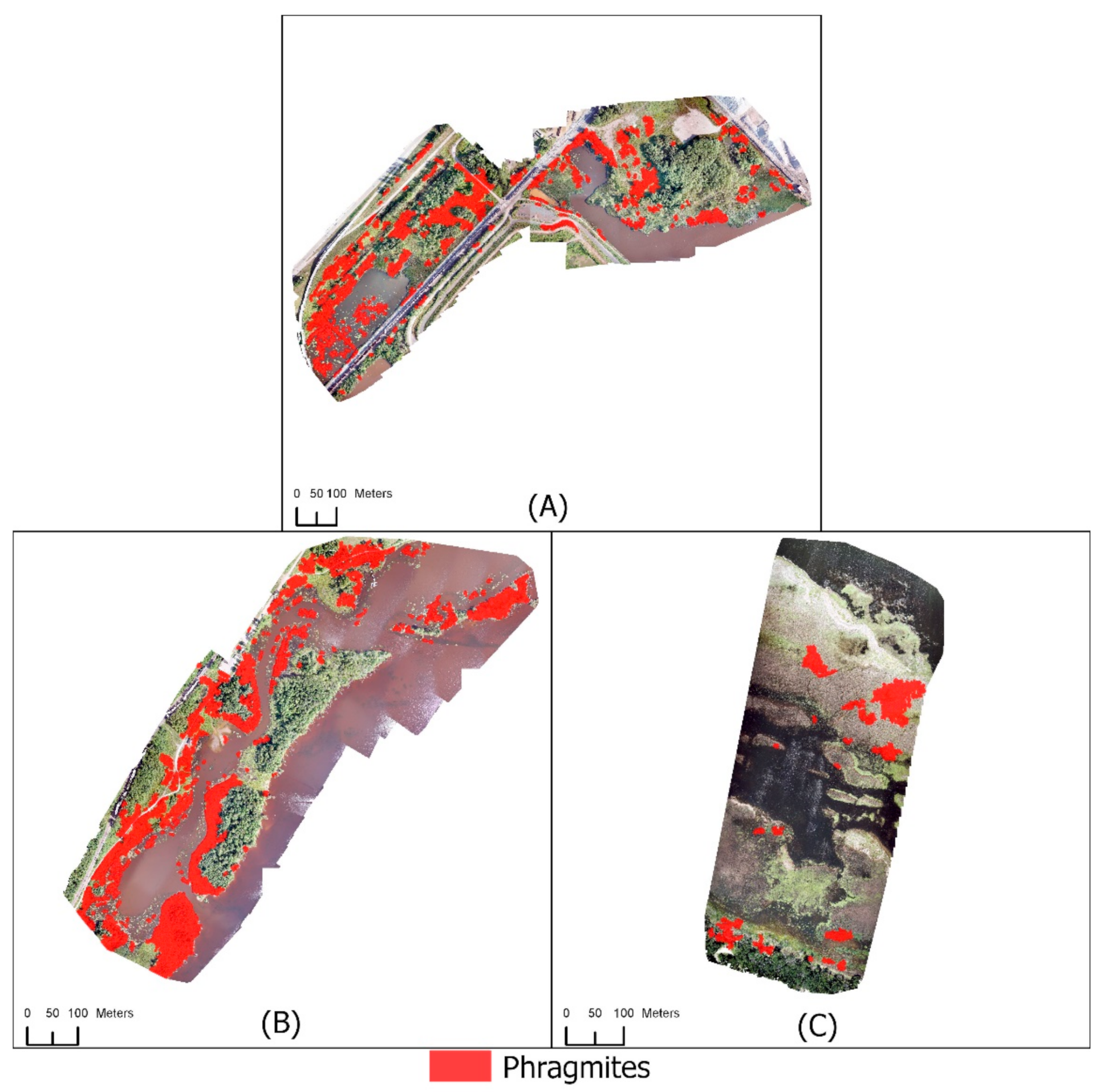 Remotesensing 13 03303 g007 550