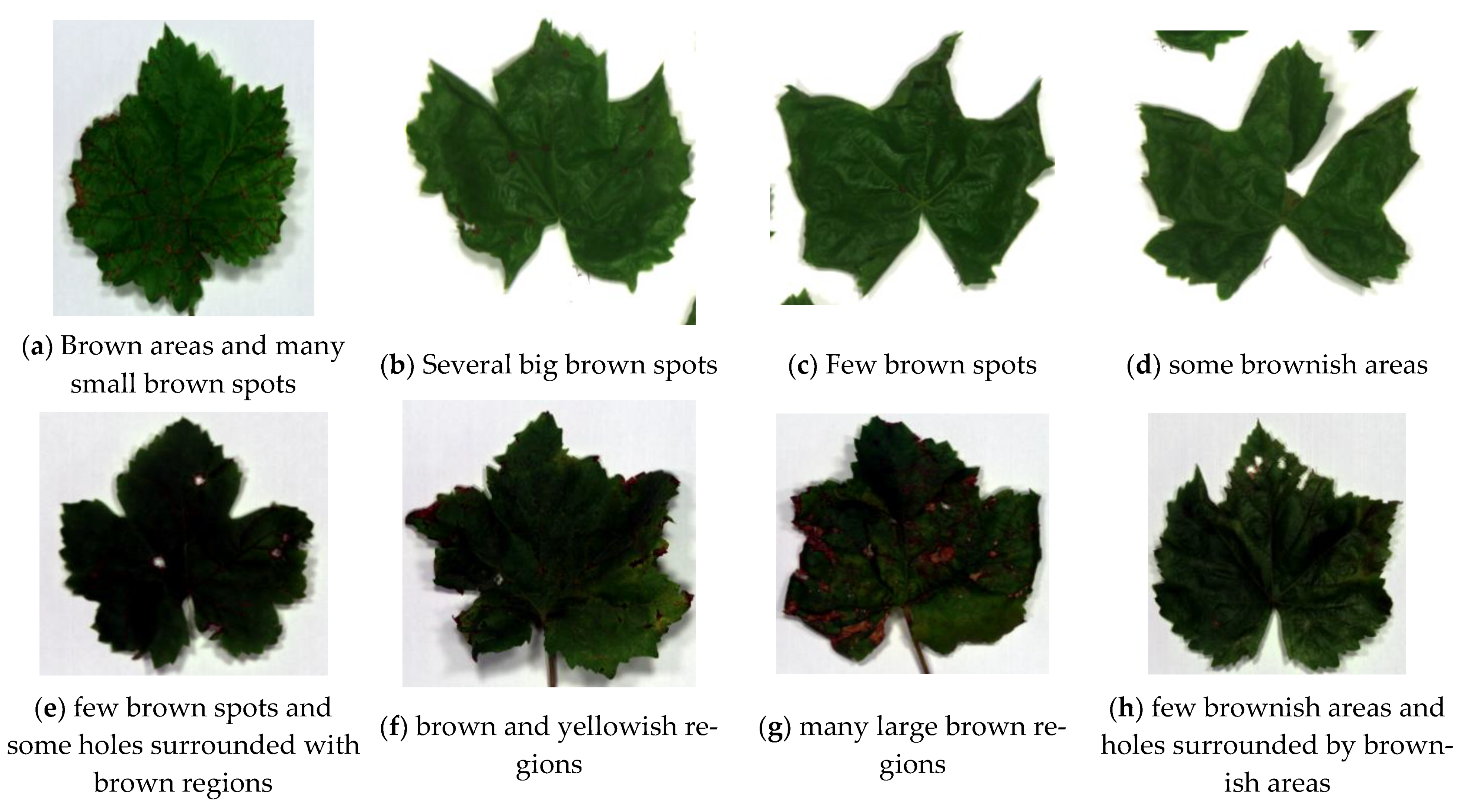 Remotesensing 13 03317 g004 550