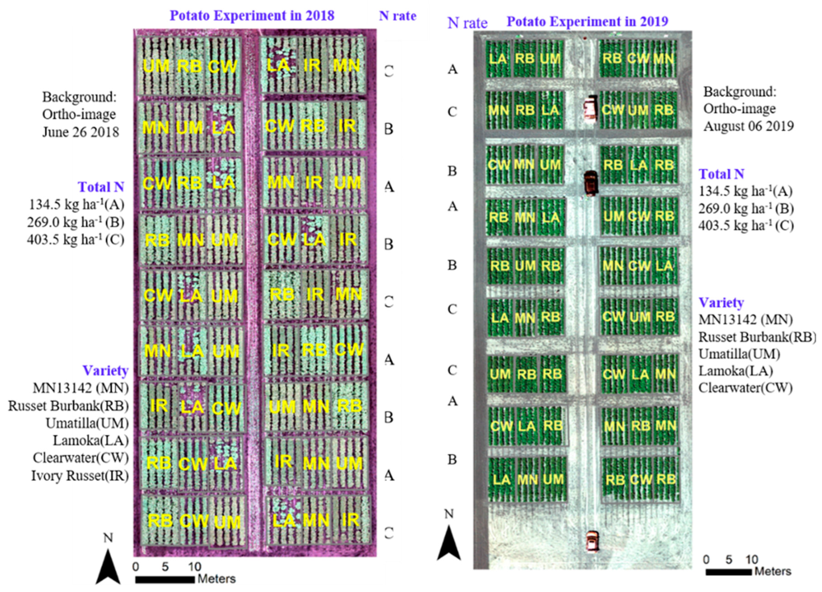 Remotesensing 13 03322 g001 Remotesensing 13 03322 g001