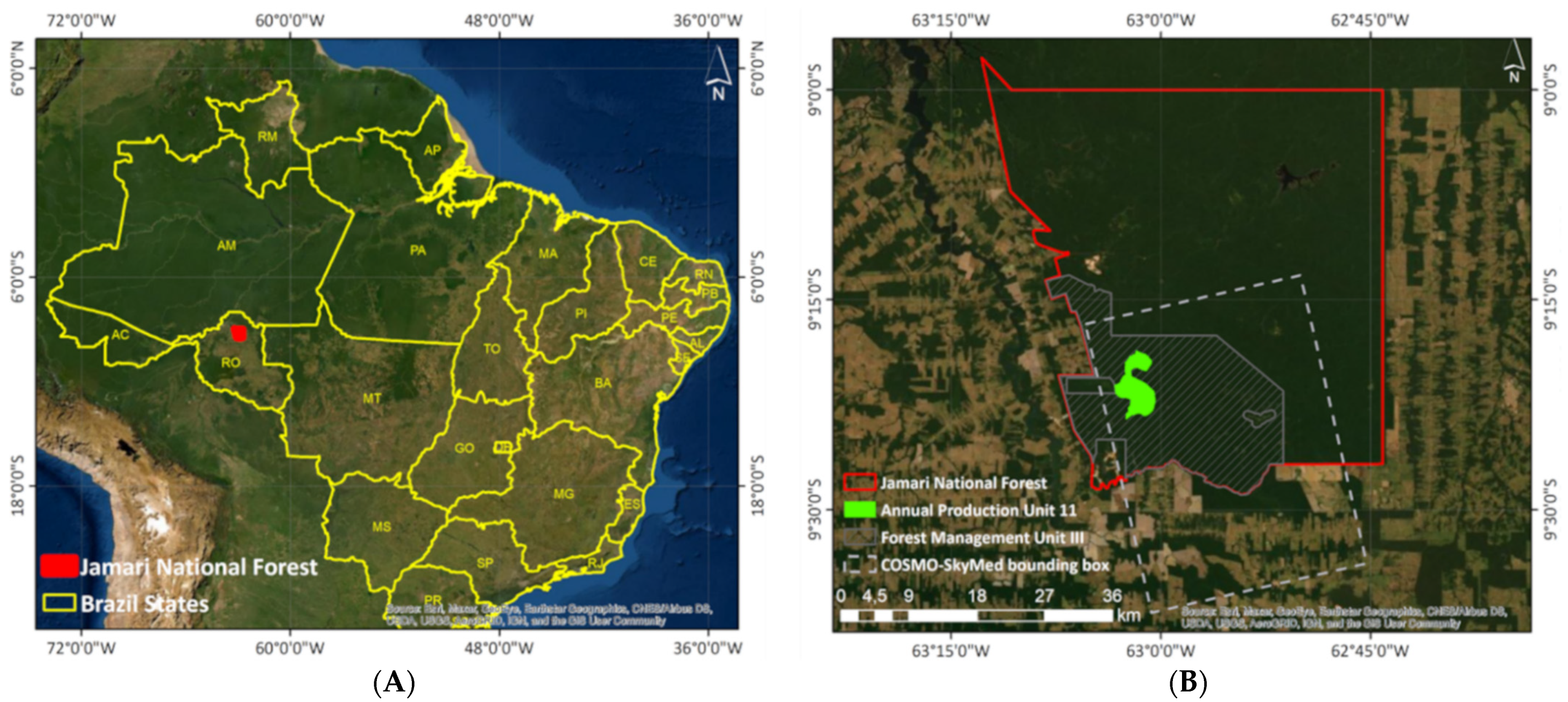 Remotesensing 13 03341 g001