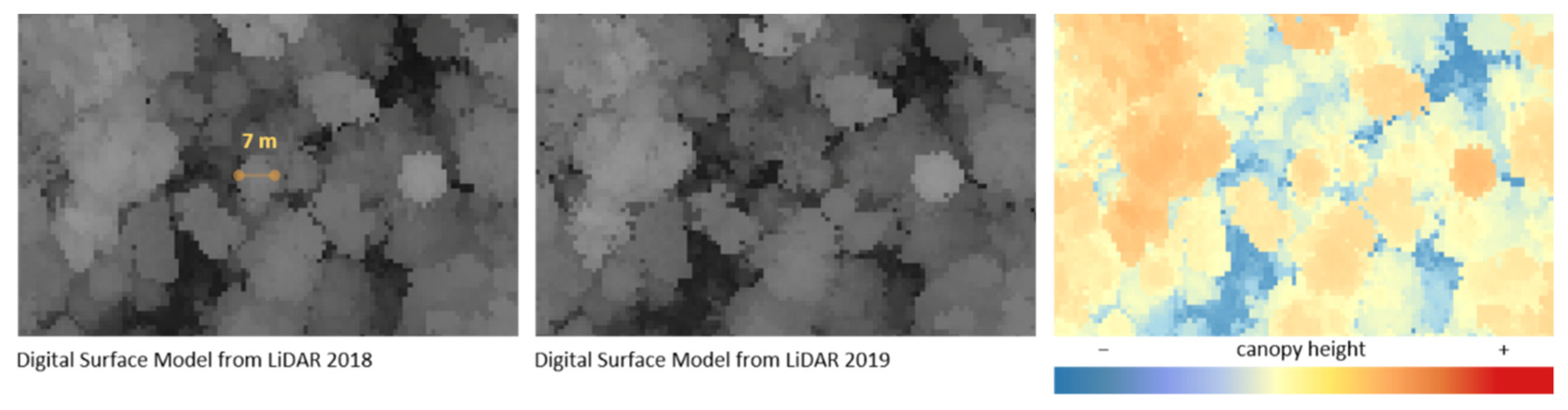 Remotesensing 13 03341 g011