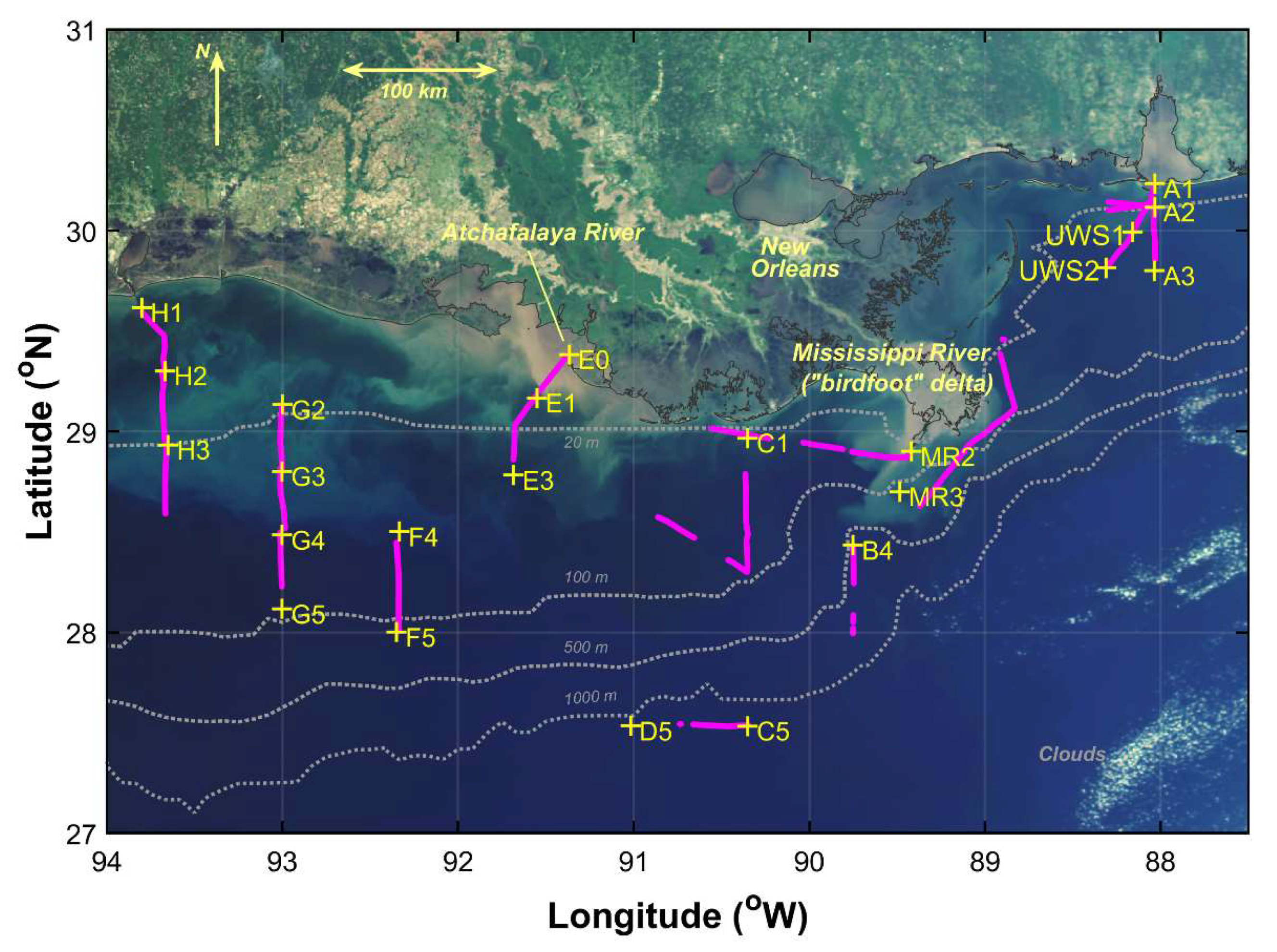 Remotesensing 13 03346 g001 550