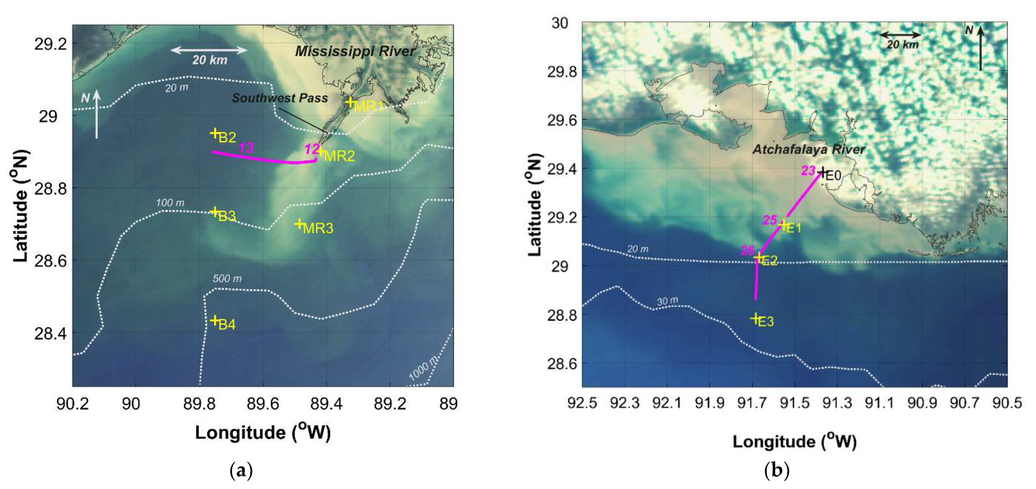 Remotesensing 13 03346 g002 550