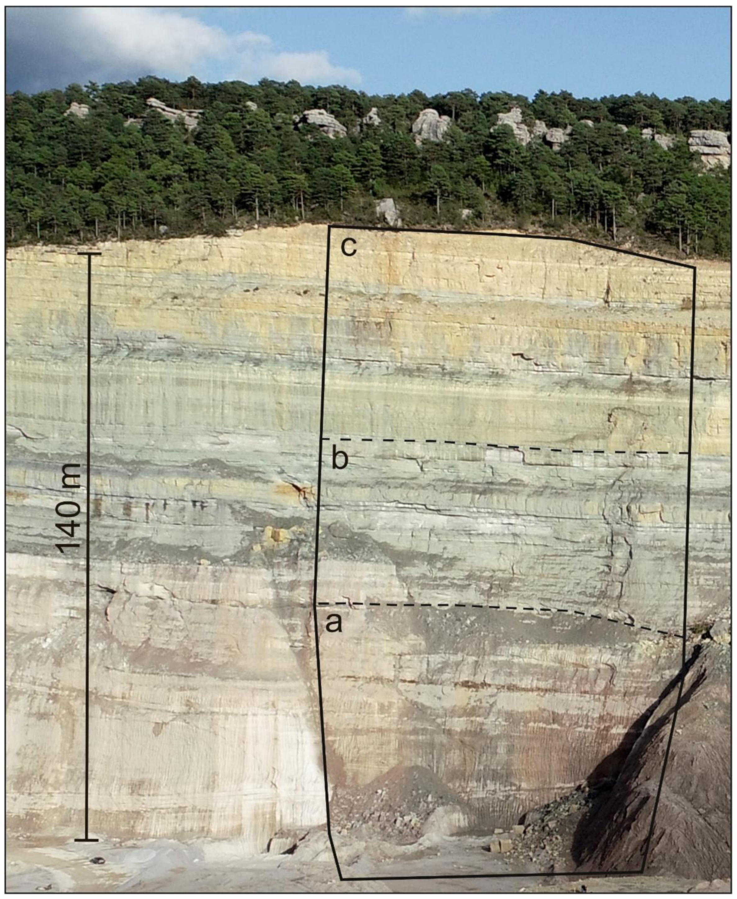 Remotesensing 13 03353 g002 550